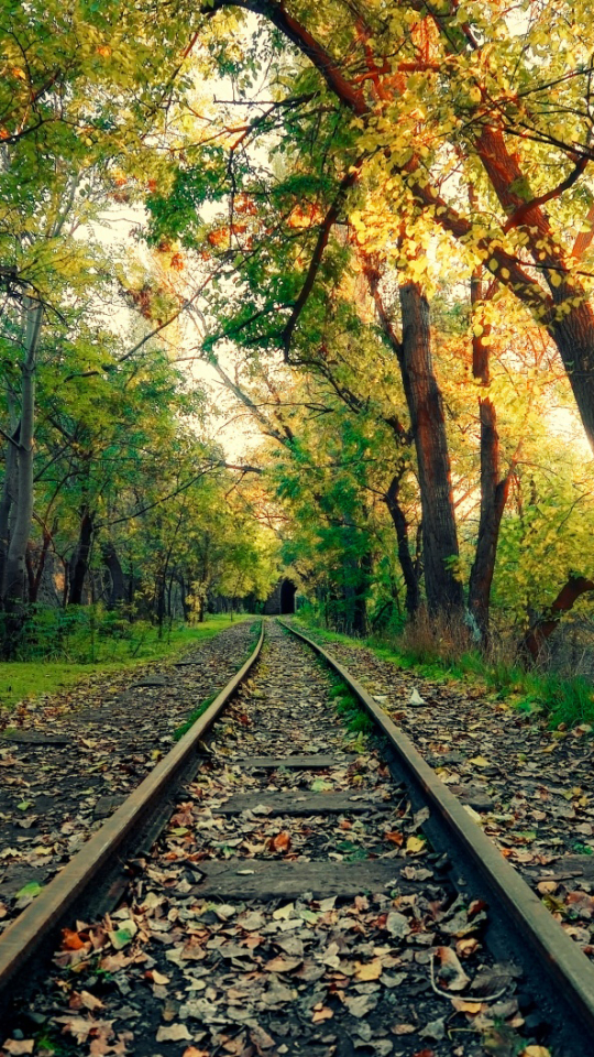 Download mobile wallpaper Tree, Spring, Railroad, Man Made for free.