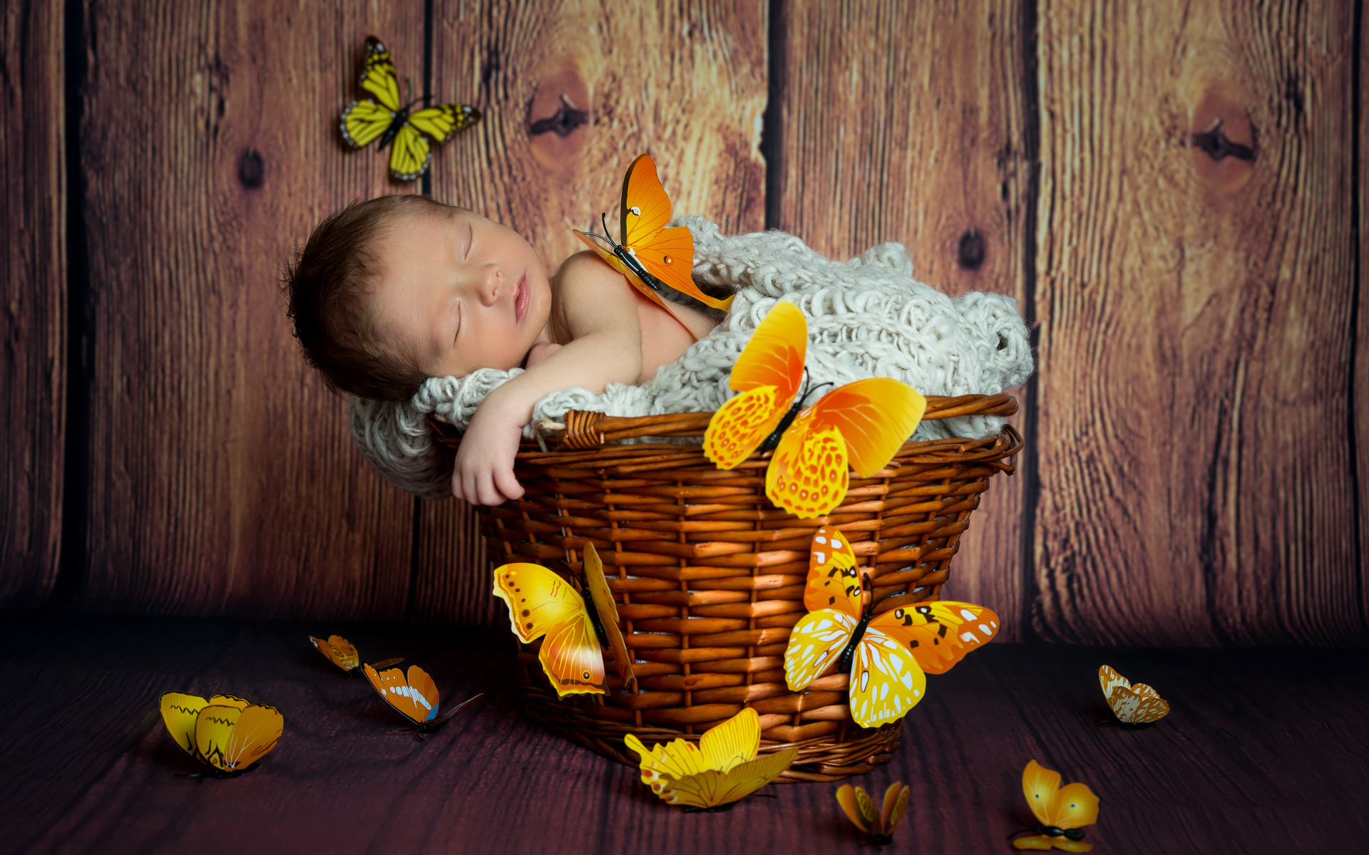 Free download wallpaper Butterfly, Basket, Sleeping, Cute, Photography, Baby on your PC desktop