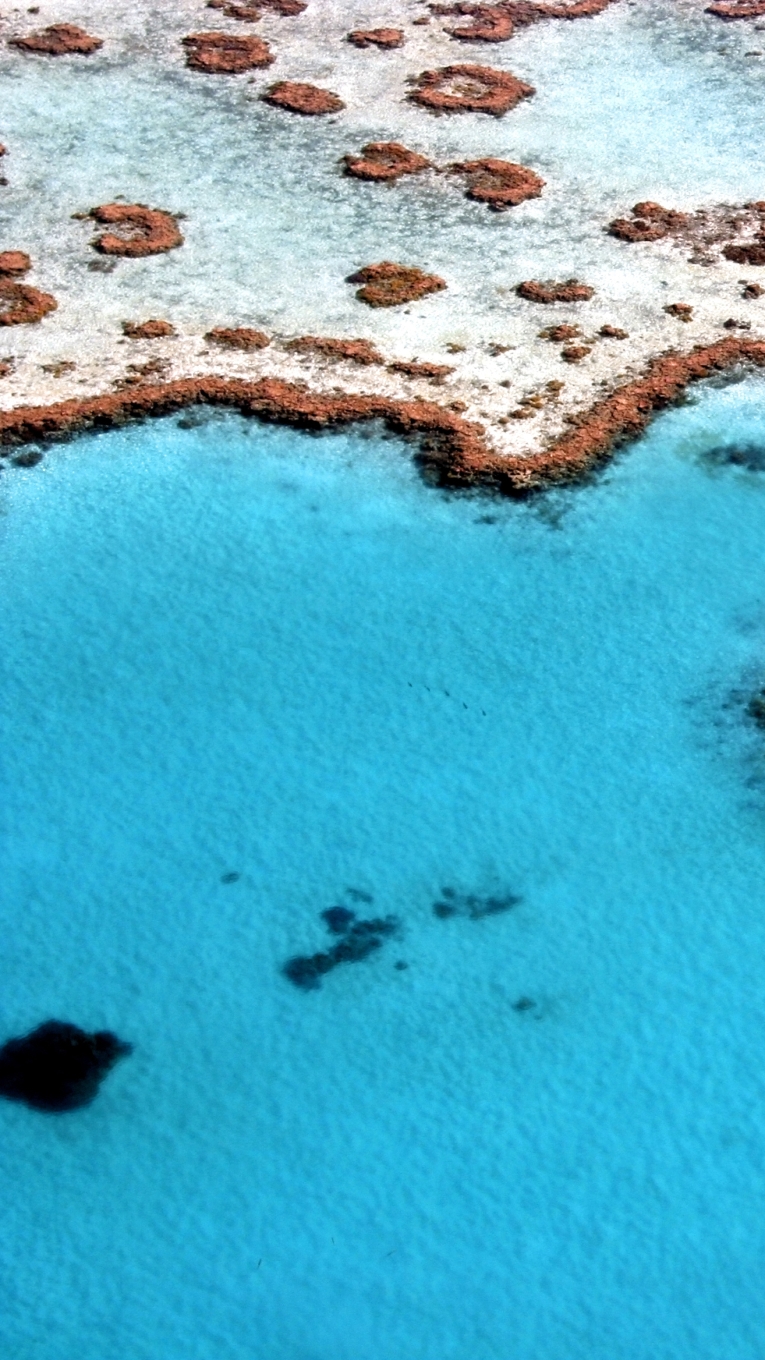 earth, great barrier reef, reef iphone wallpaper