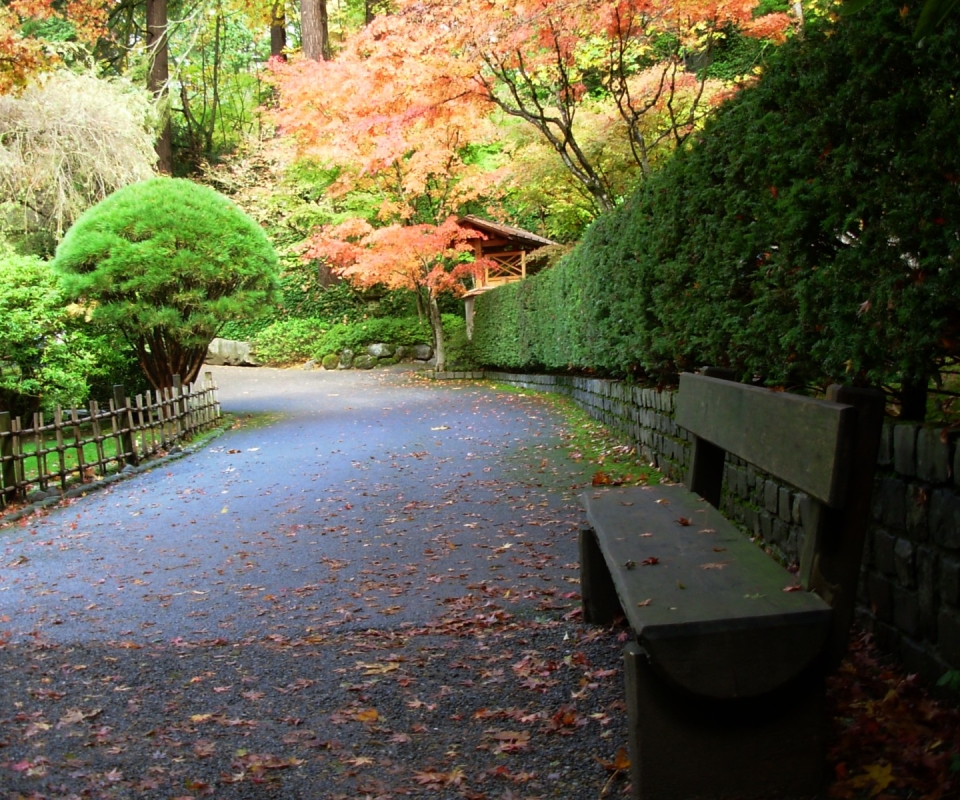 Free download wallpaper Park, Tree, Path, Bench, Photography on your PC desktop