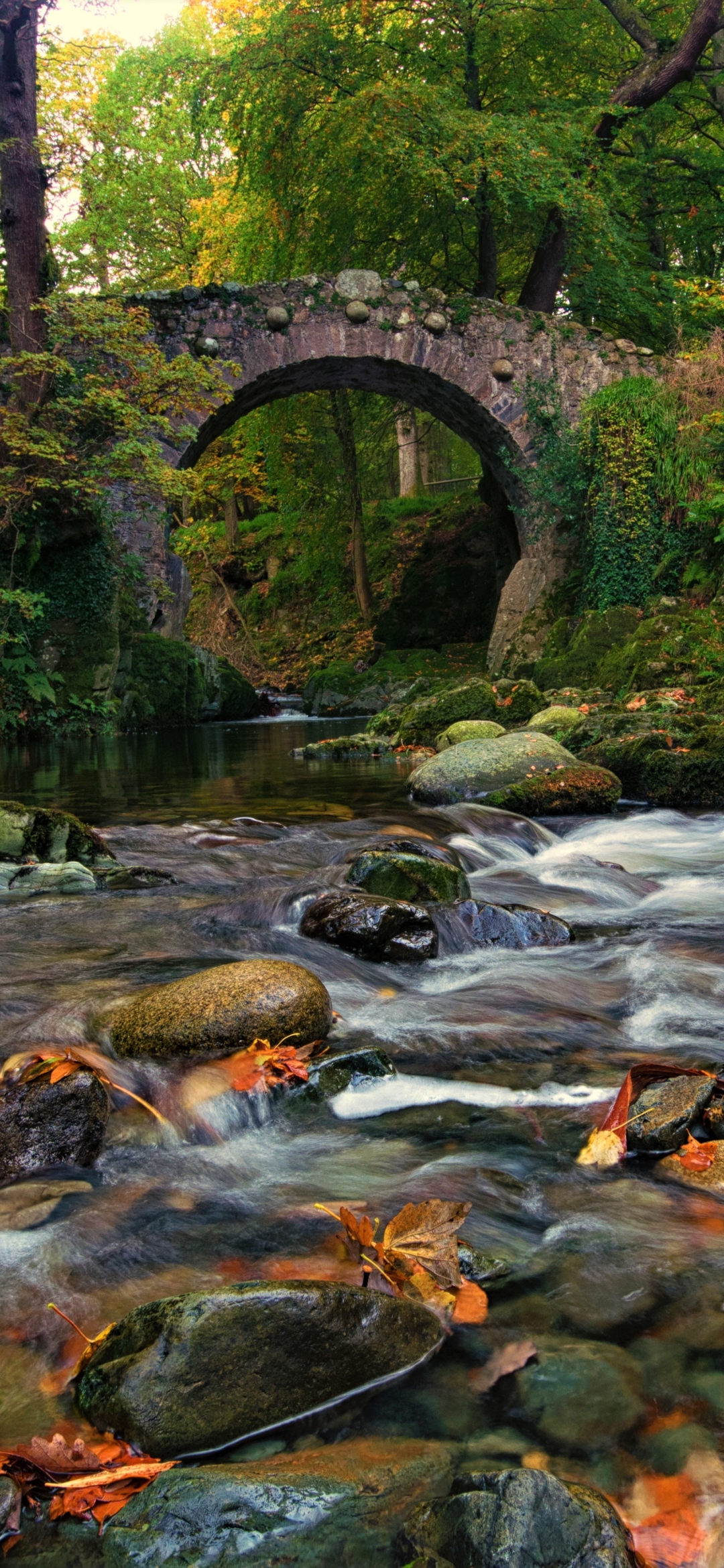 Baixar papel de parede para celular de Outono, Rio, Floresta, Cair, Ponte, Terra/natureza gratuito.