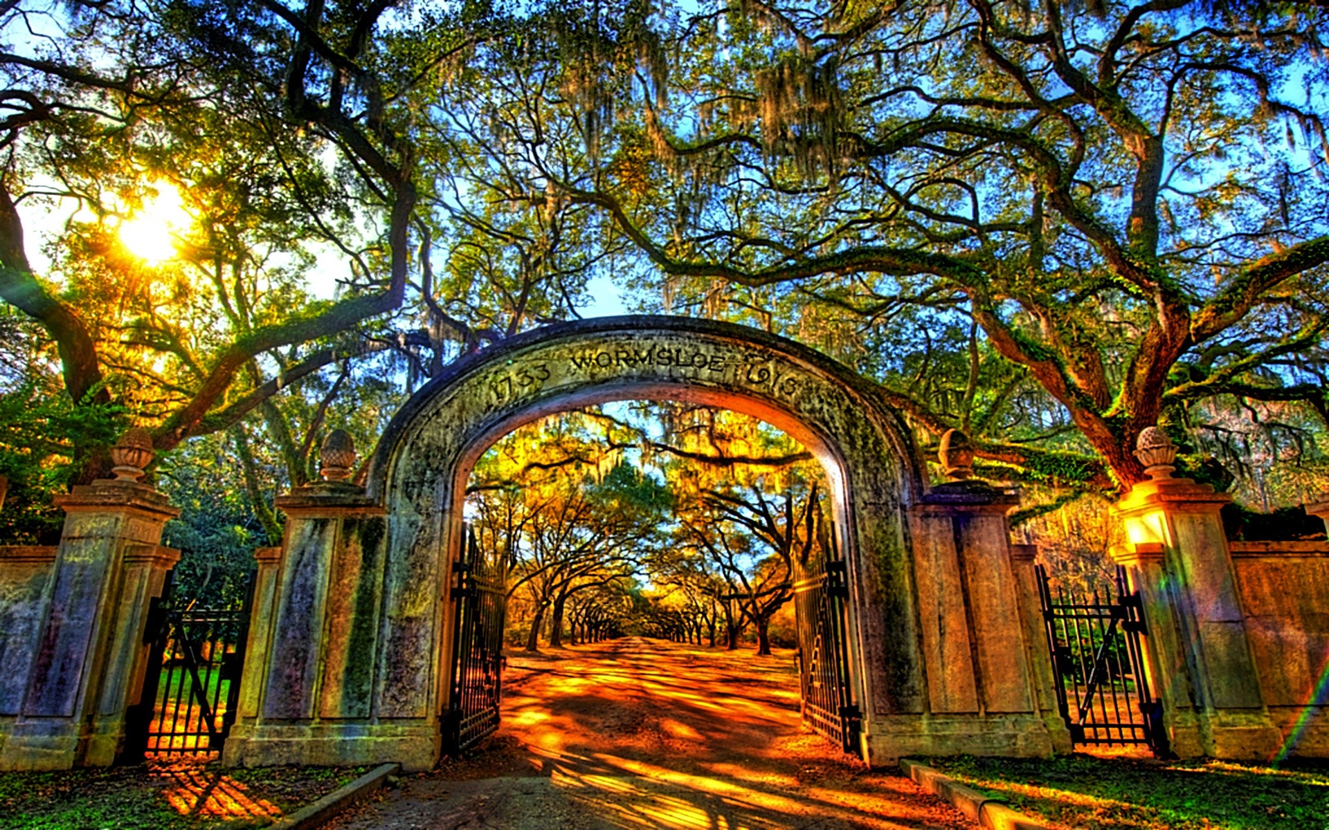 man made, gateway, arch, gate, park, sunny, tree