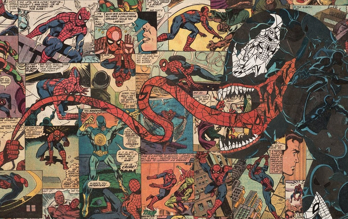 Handy-Wallpaper Comics, Spider Man kostenlos herunterladen.