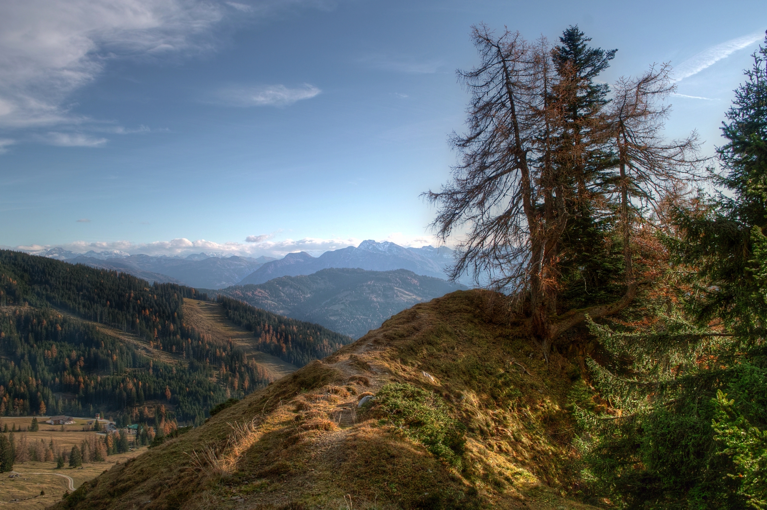 Descarga gratuita de fondo de pantalla para móvil de Naturaleza, Árboles, Cielo, Montañas.