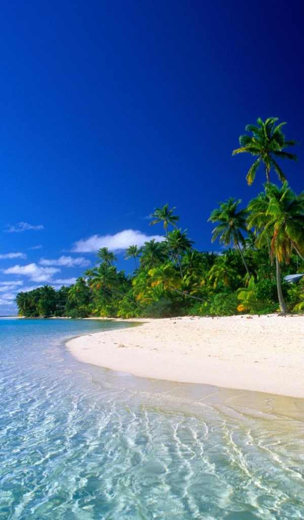 Скачать картинку Вода, Небо, Пляж, Песок, Дерево, Тропики, Остров, Земля/природа в телефон бесплатно.