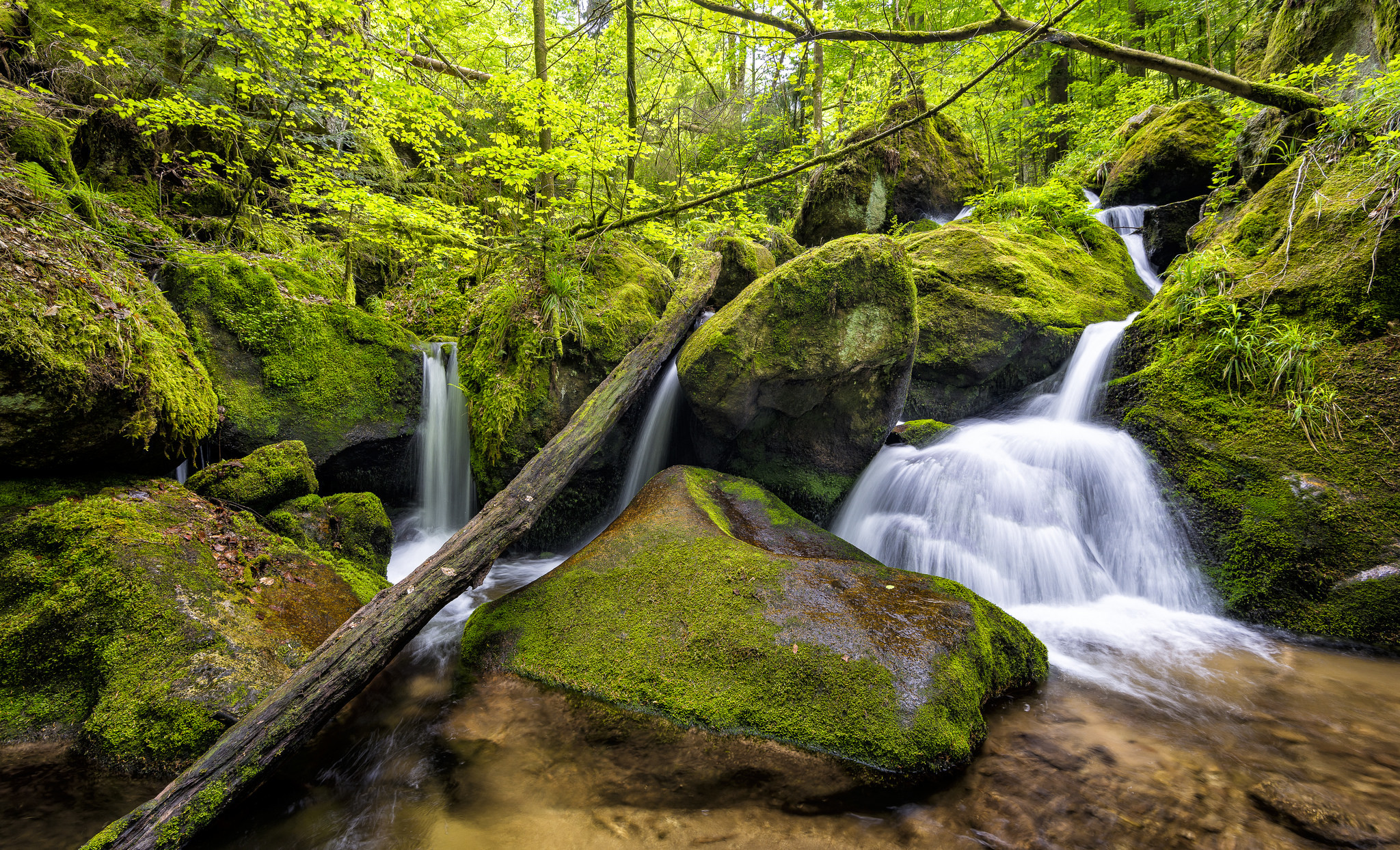 Handy-Wallpaper Natur, Wasserfälle, Wasserfall, Wald, Schaum, Moos, Erde/natur kostenlos herunterladen.