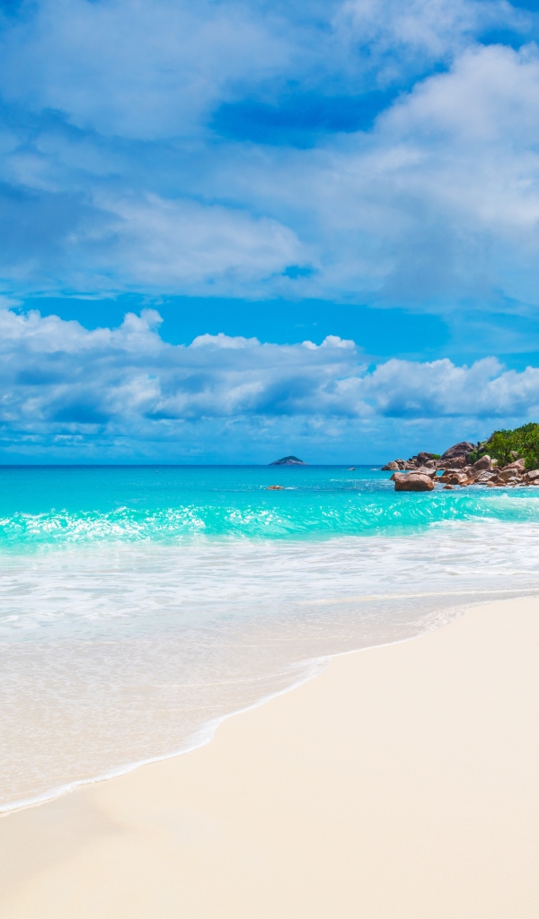 Скачать картинку Пляж, Песок, Океан, Мальдивы, Сейшелы, Земля/природа в телефон бесплатно.