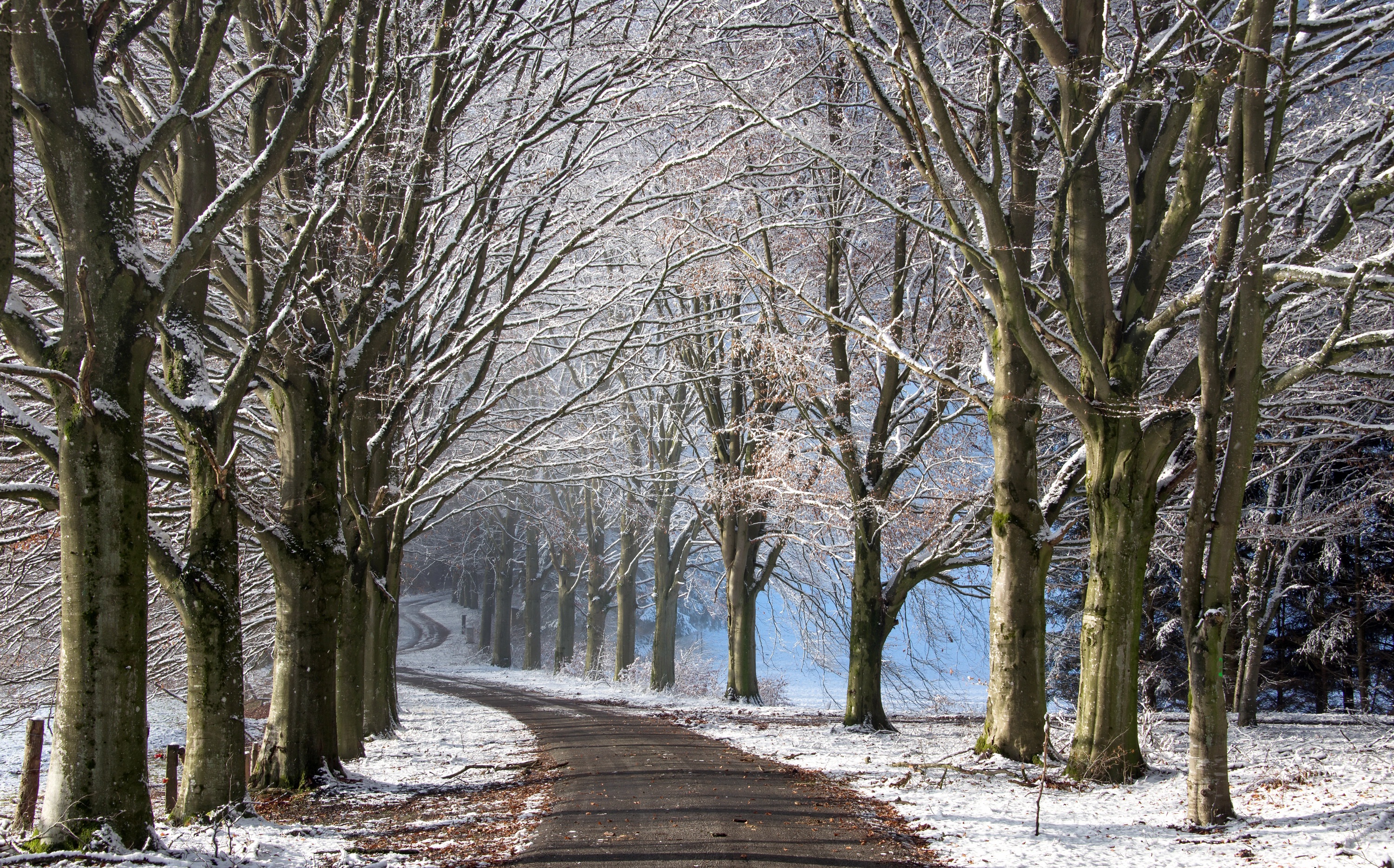 Free download wallpaper Winter, Nature, Road, Tree, Man Made on your PC desktop