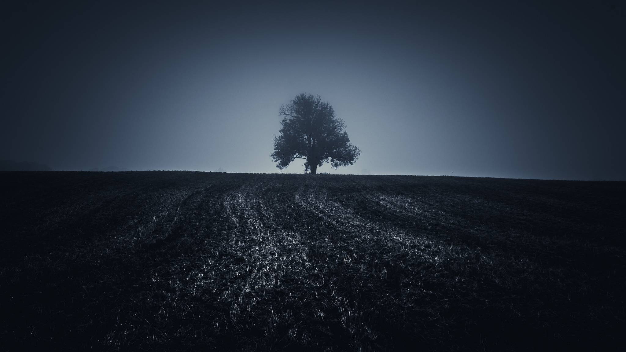 Free download wallpaper Nature, Trees, Tree, Earth, Field, Lonely Tree on your PC desktop
