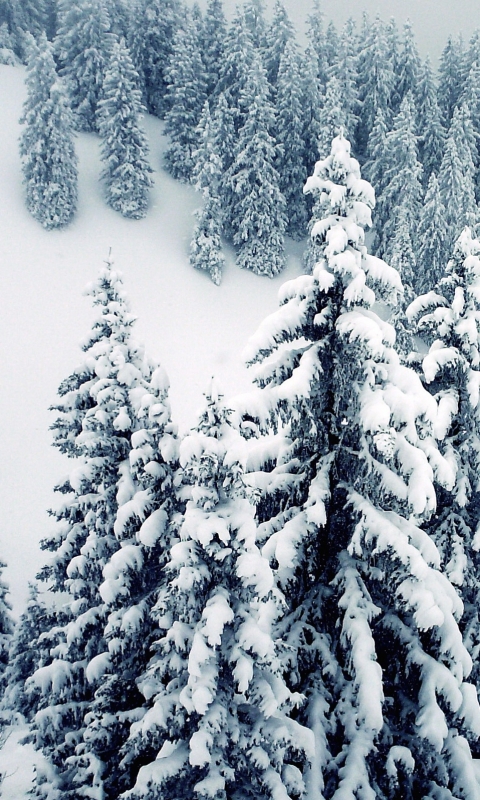 Descarga gratuita de fondo de pantalla para móvil de Invierno, Tierra/naturaleza.