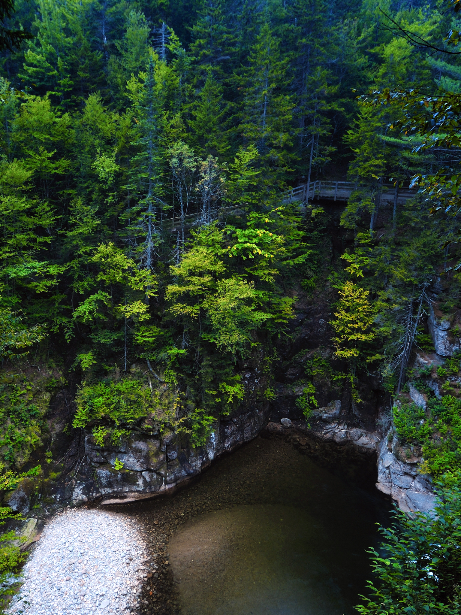 Descarga gratuita de fondo de pantalla para móvil de Bosque, Nuevo Hampshire, Tierra/naturaleza.
