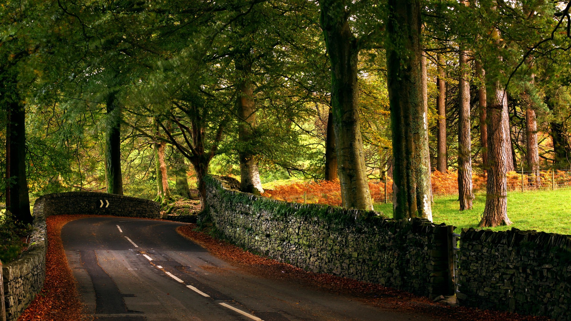 Download mobile wallpaper Road, Forest, Tree, Wall, Stone, Man Made for free.