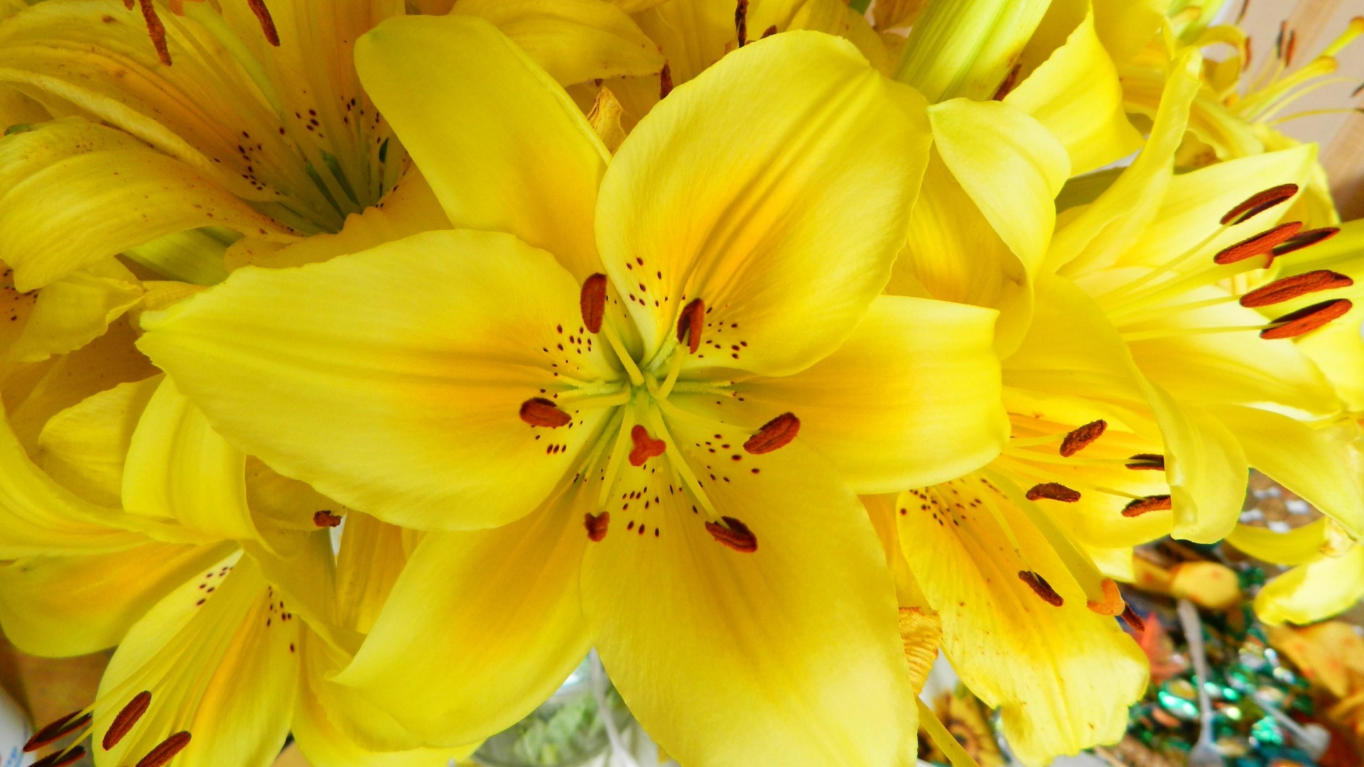 Descarga gratis la imagen Flores, Flor, De Cerca, Lirio, Flor Amarilla, Tierra/naturaleza en el escritorio de tu PC