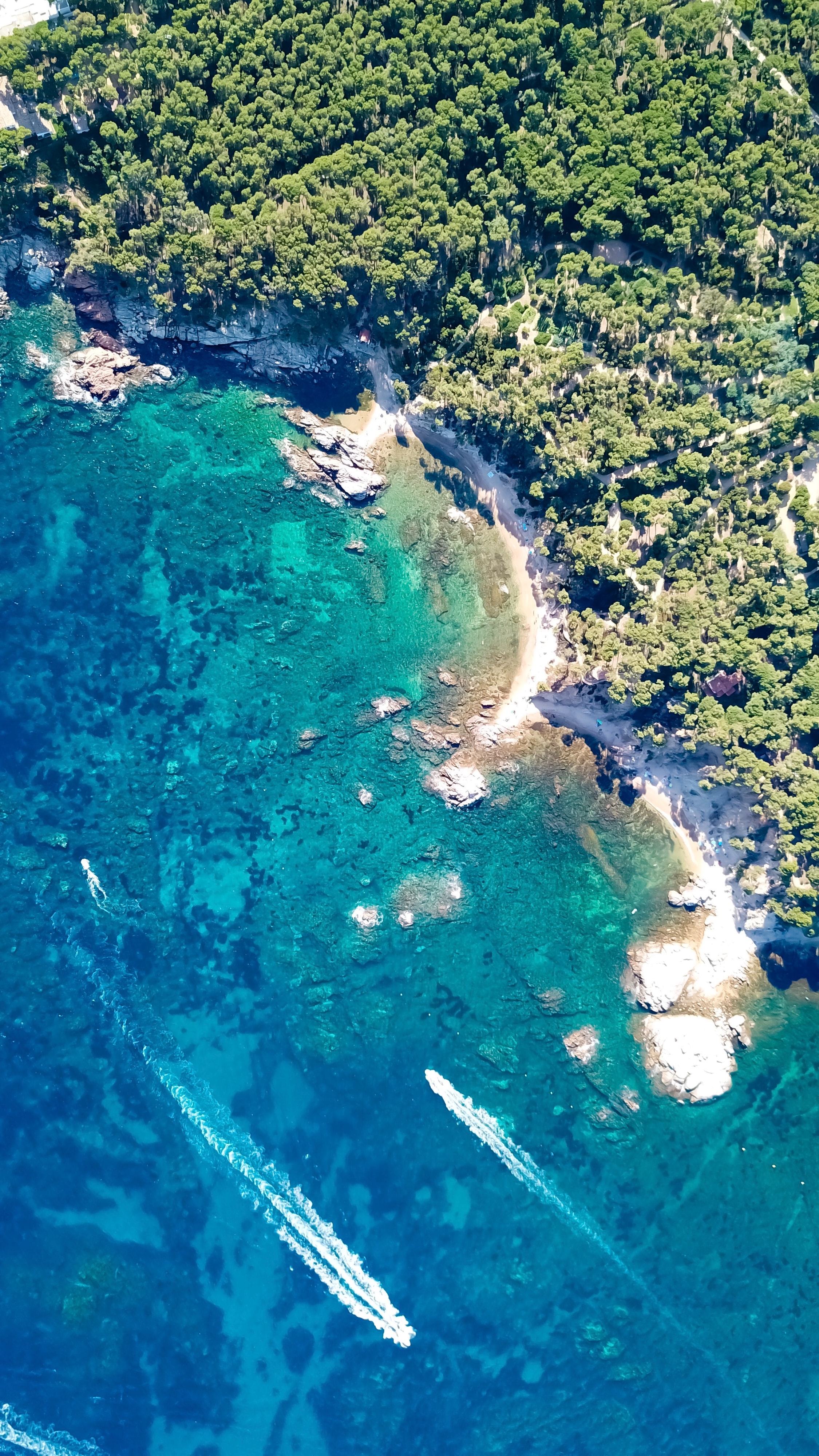nature, trees, view from above, coast, ocean