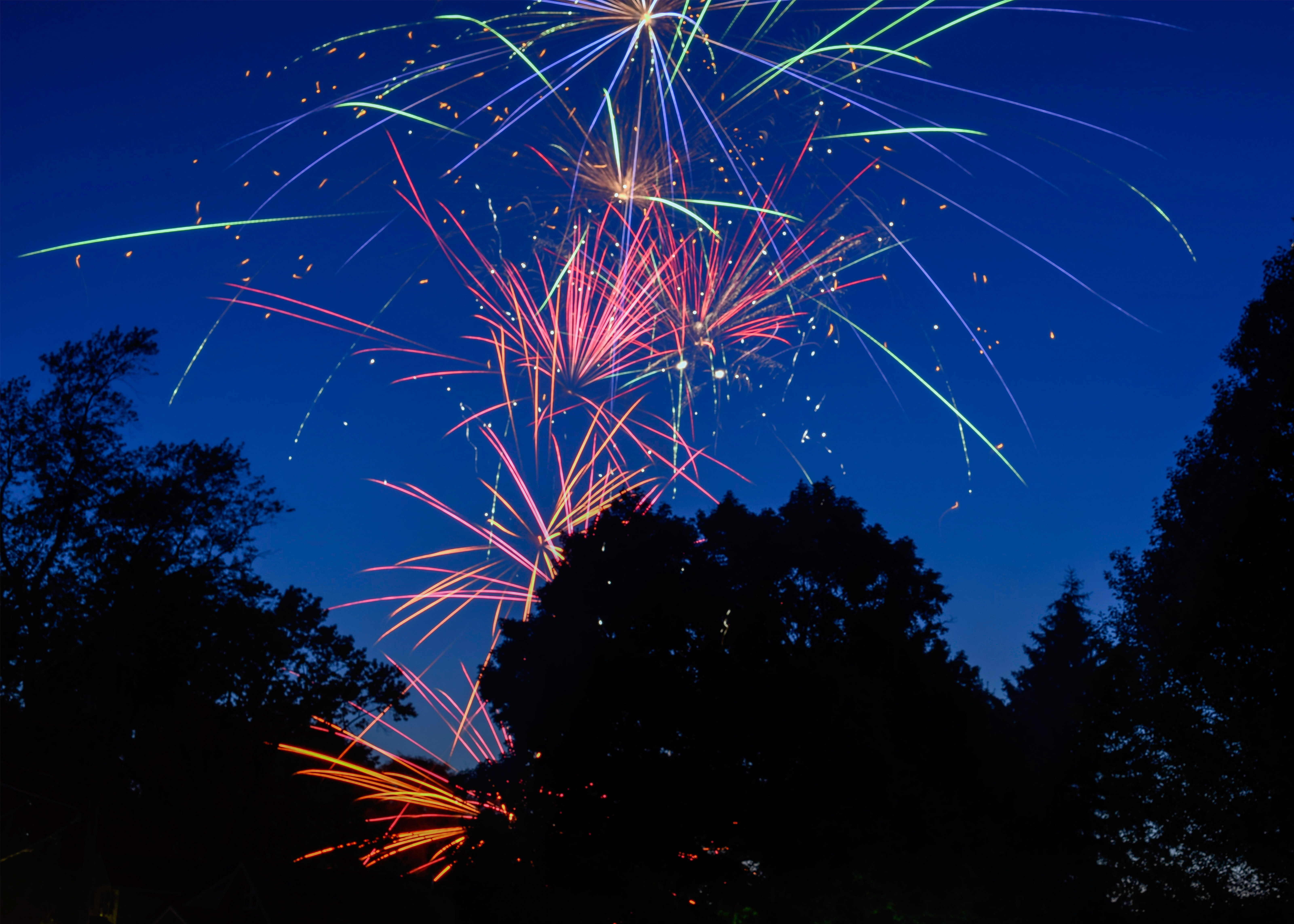 sparks, firework, holidays, trees, salute, holiday, fireworks Full HD