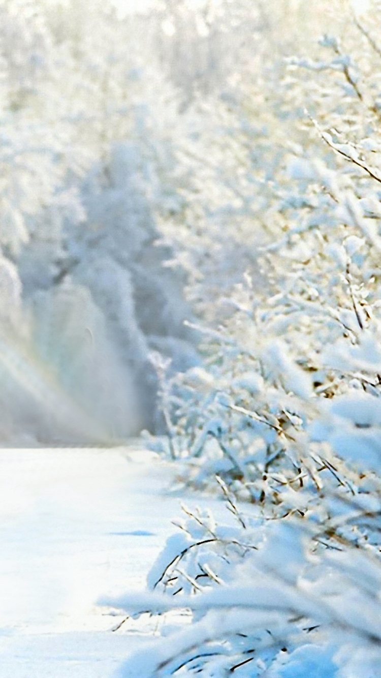 Handy-Wallpaper Winter, Natur, Schnee, Baum, Szene, Szenisch, Erde/natur kostenlos herunterladen.