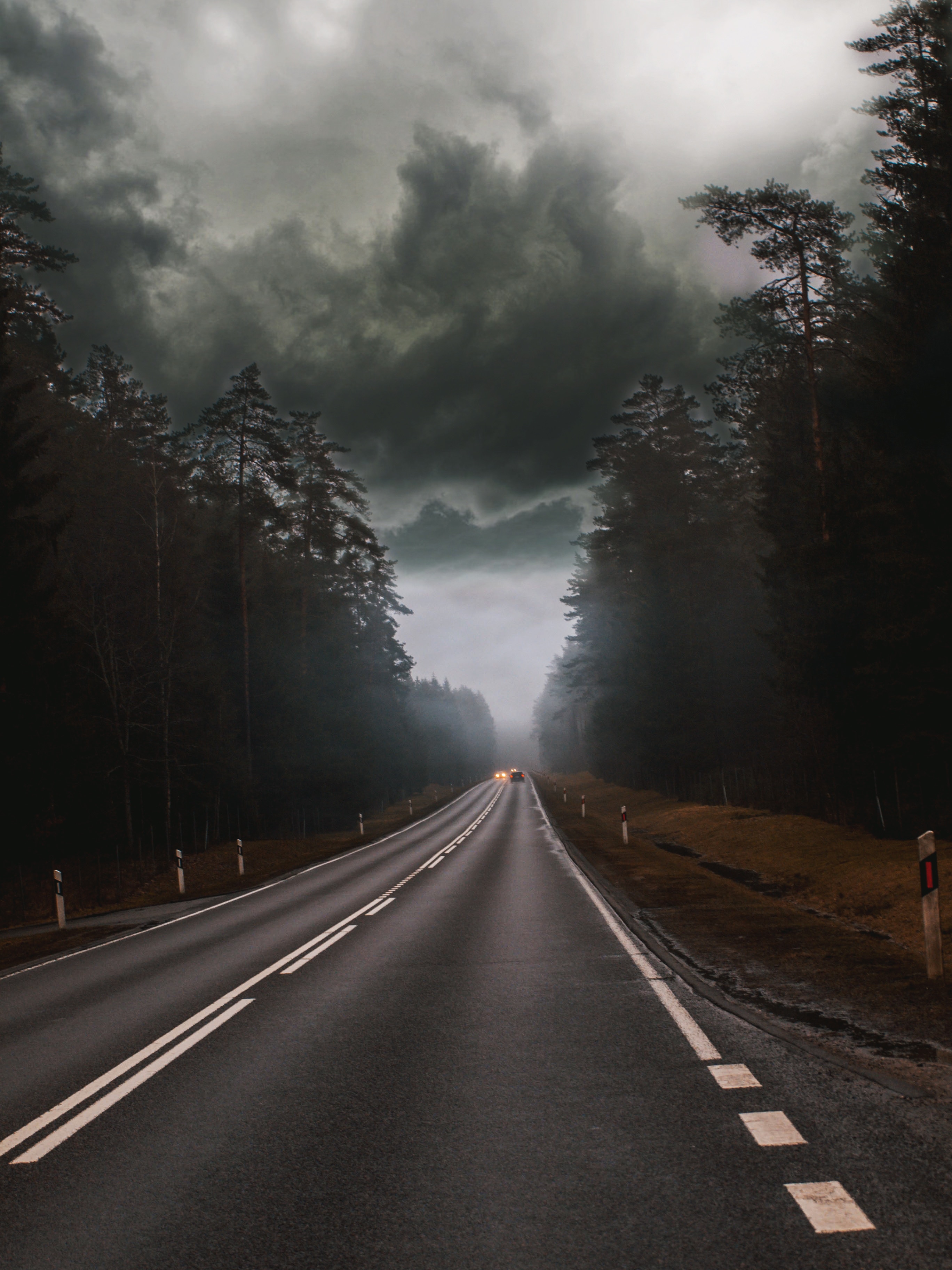 cars, nature, trees, clouds, road, fog, mainly cloudy, overcast