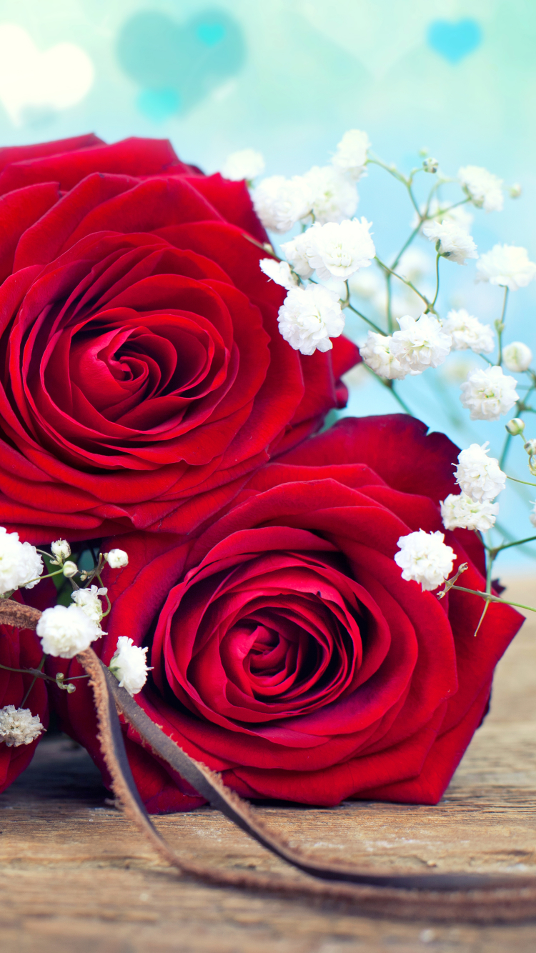 Handy-Wallpaper Blume, Rose, Fotografie, Rote Rose, Weiße Blume, Rote Blume, Stillleben, Herzförmig kostenlos herunterladen.