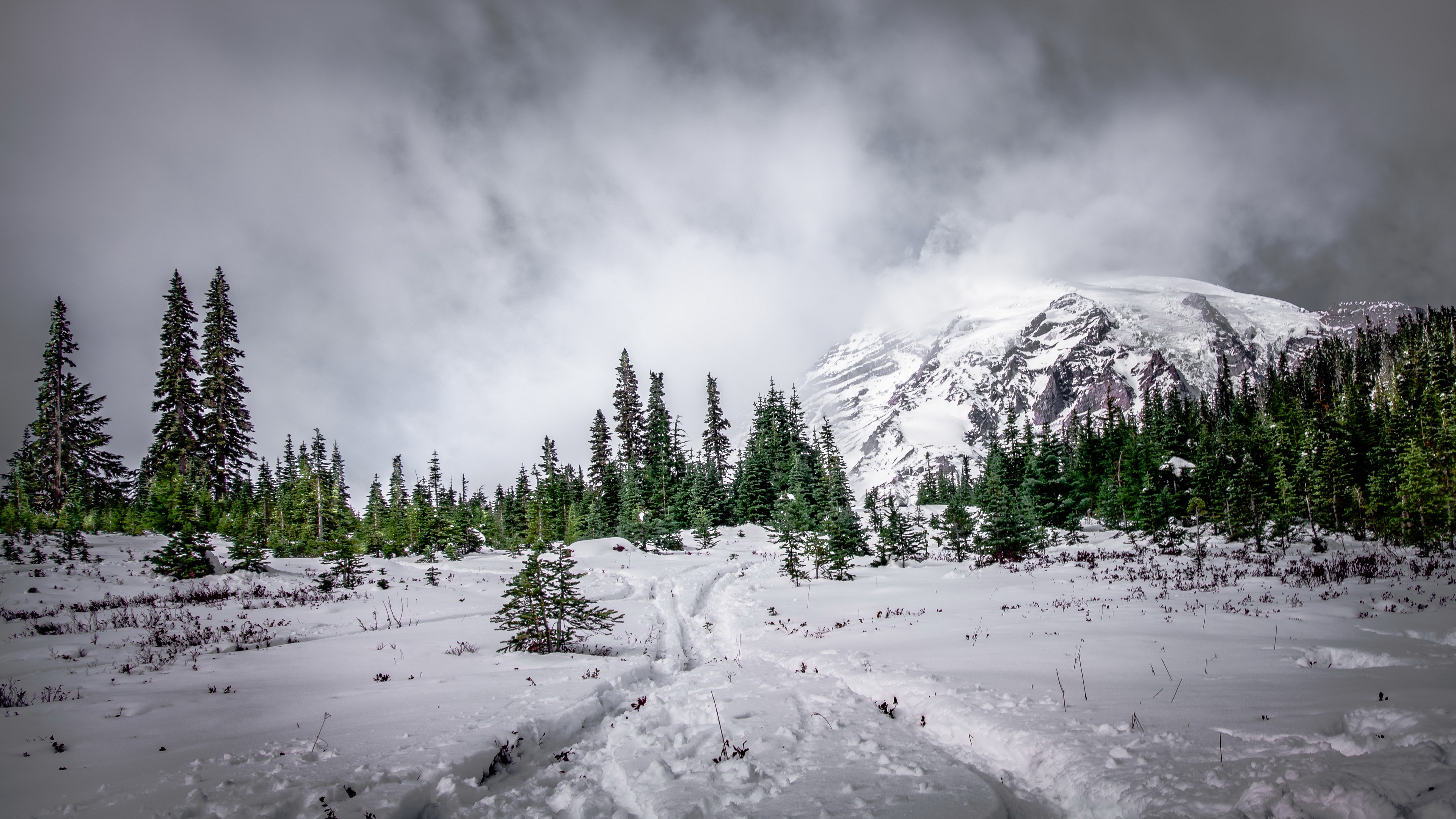 Laden Sie das Winter, Schnee, Gebirge, Tanne, Erde/natur-Bild kostenlos auf Ihren PC-Desktop herunter