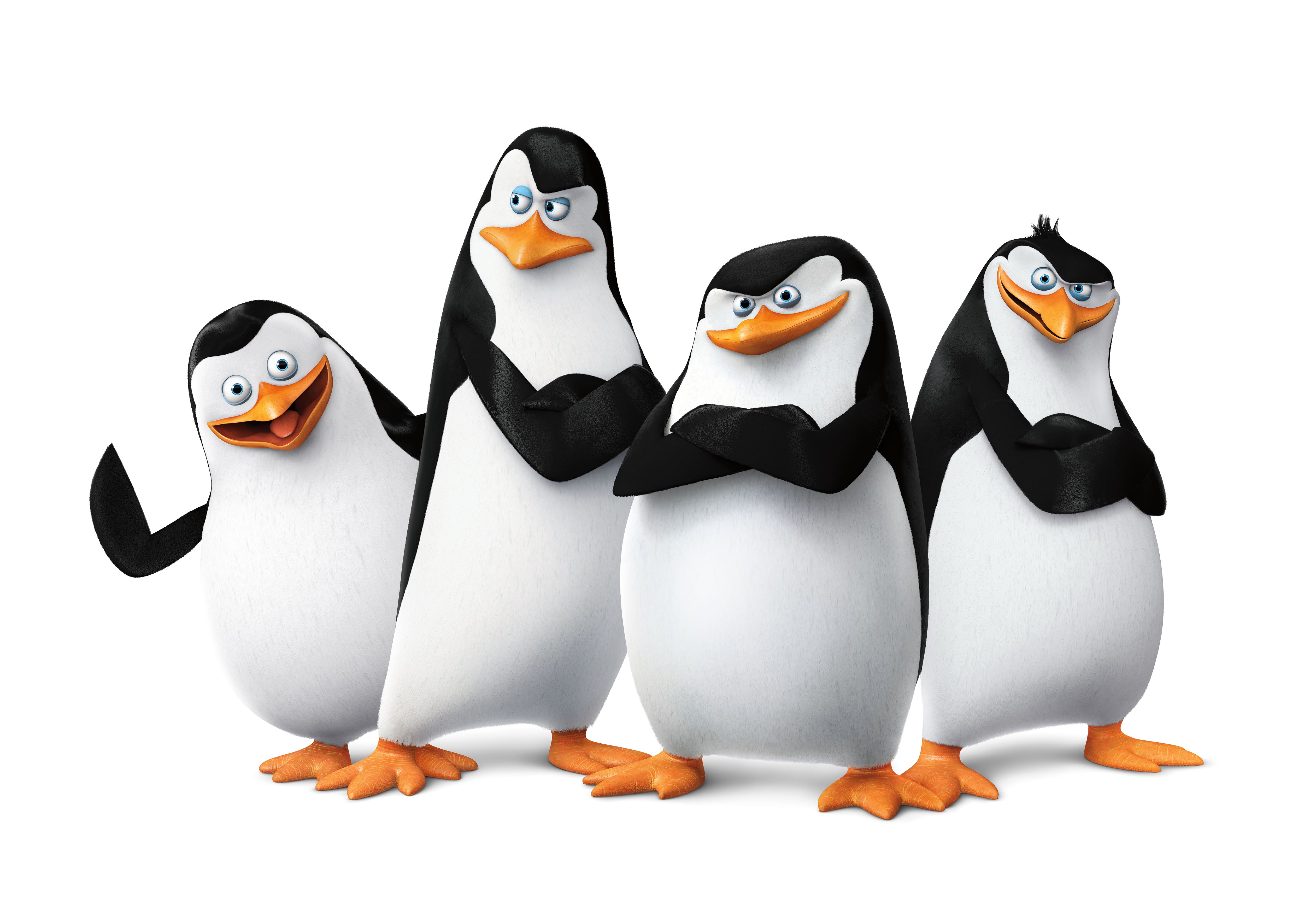 Скачать обои Пингвины Мадагаскара: Фильм на телефон бесплатно