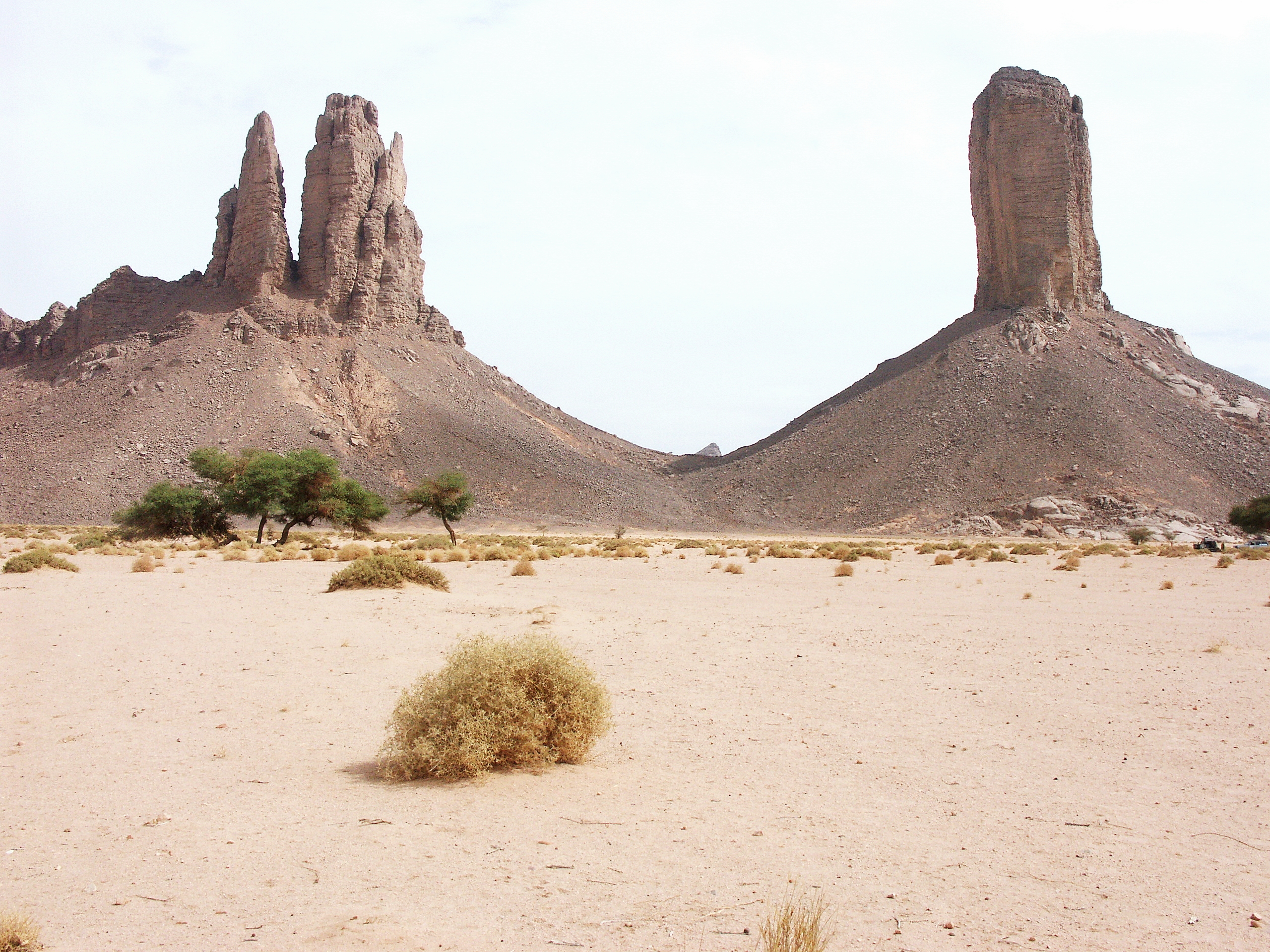 Download mobile wallpaper Landscape, Desert, Earth, Sahara, Africa, Algeria, Tassili N'ajjer for free.