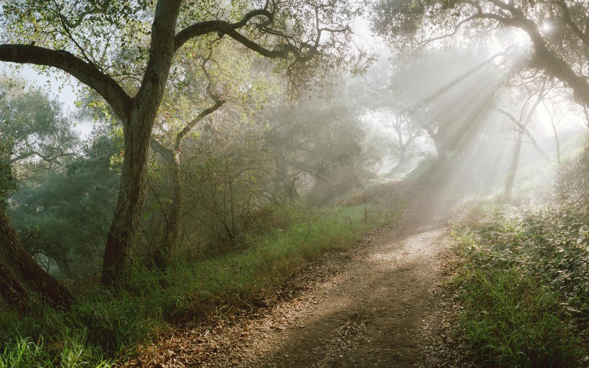 Descarga gratuita de fondo de pantalla para móvil de Camino, Tierra/naturaleza.