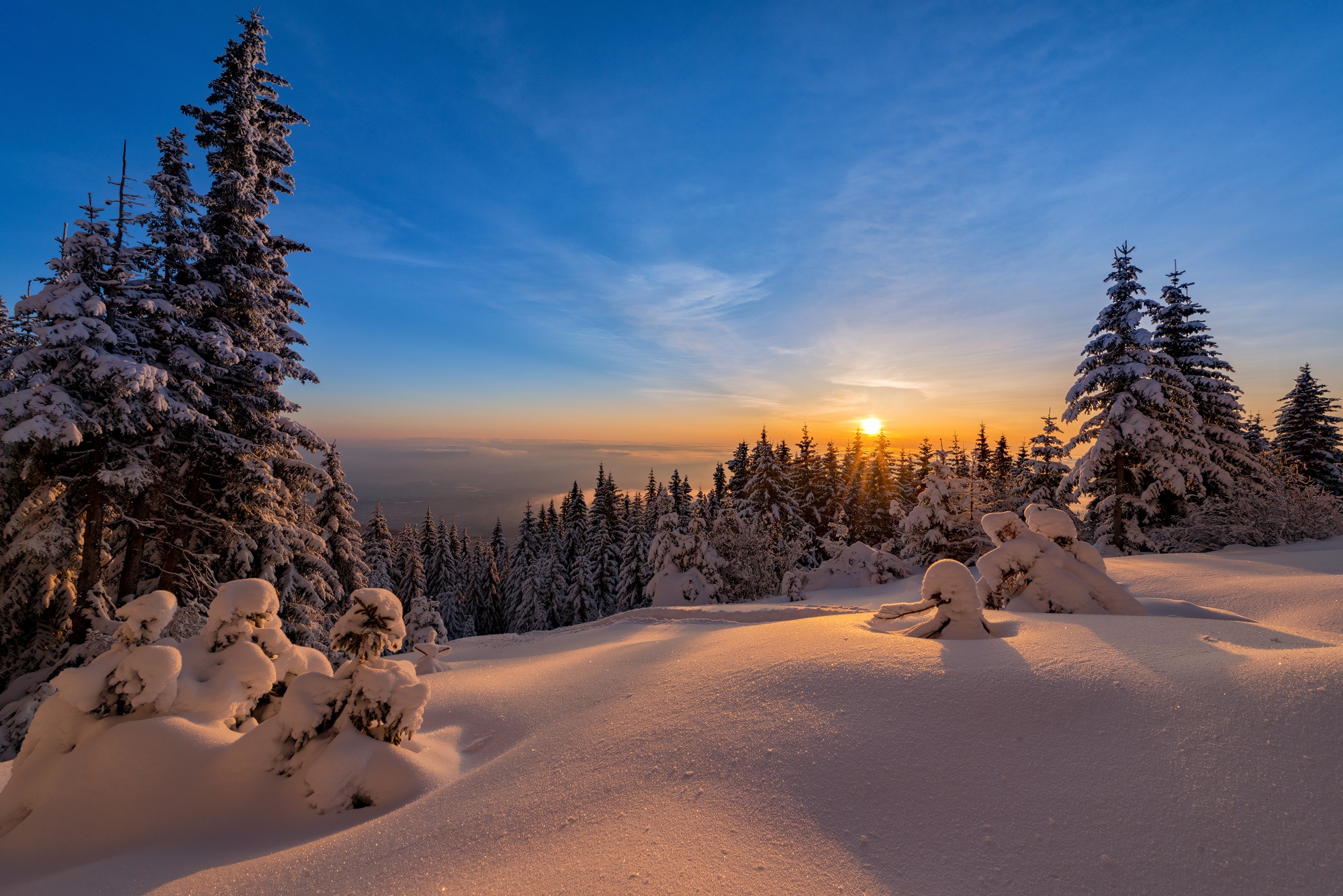 Download mobile wallpaper Winter, Nature, Sunset, Sky, Snow, Horizon, Earth for free.