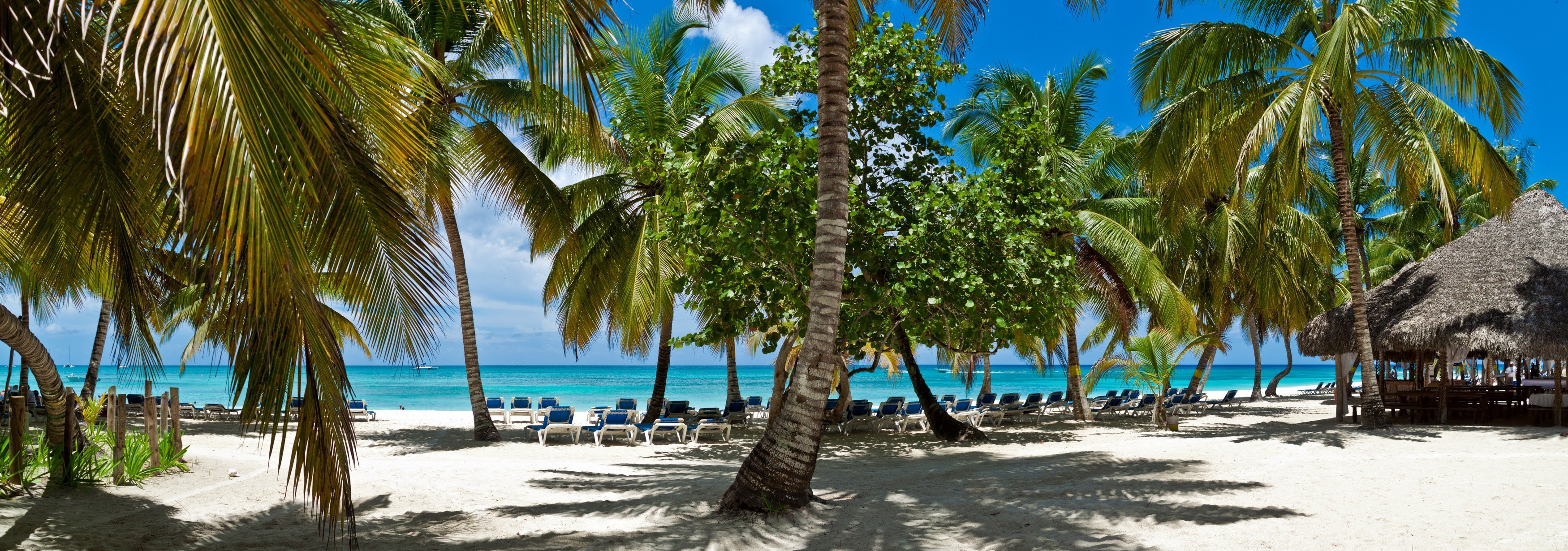 Laden Sie das Strand, Palme, Tropen, Fotografie-Bild kostenlos auf Ihren PC-Desktop herunter