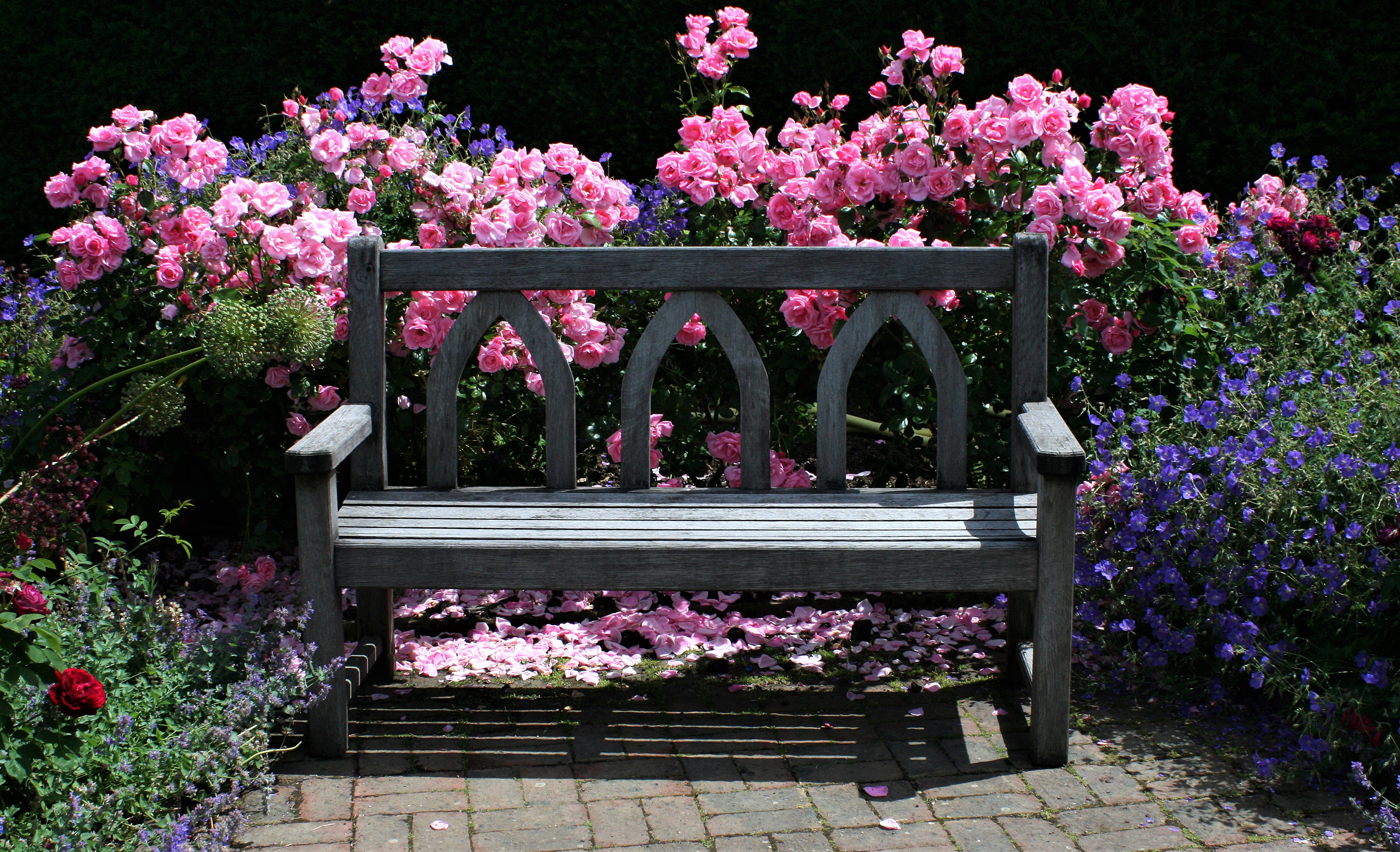 851903 baixar papel de parede feito pelo homem, banco, arbusto, colorido, jardim inglês, flor, jardim, flor rosa, arbusto de rosas, rosa - protetores de tela e imagens gratuitamente