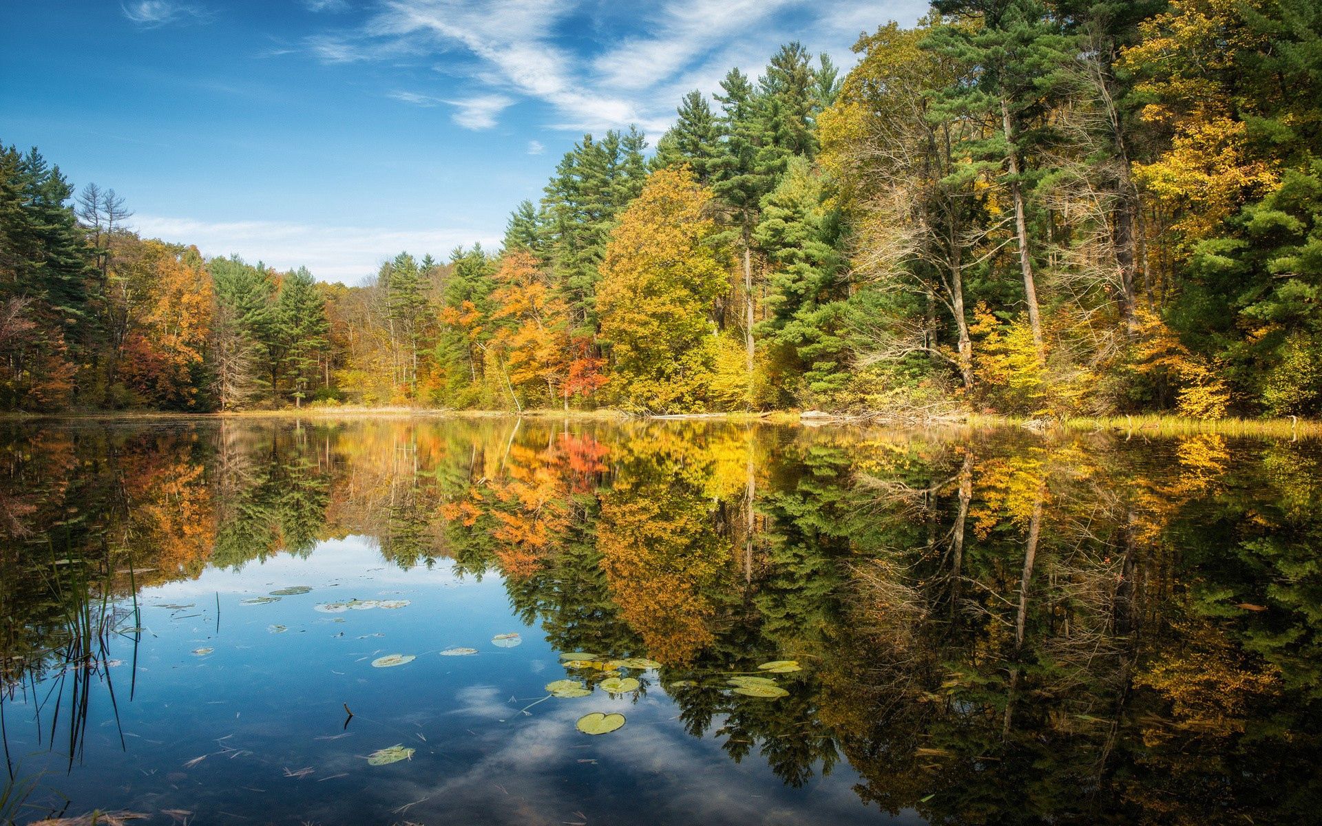 Laden Sie das Flüsse, Natur, Bäume, Herbst, Sommer-Bild kostenlos auf Ihren PC-Desktop herunter