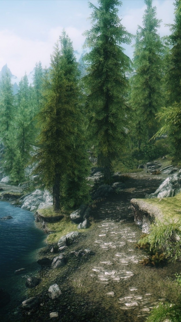 Baixar papel de parede para celular de The Elder Scrolls V: Skyrim, Os Pergaminhos Anciões, Videogame gratuito.