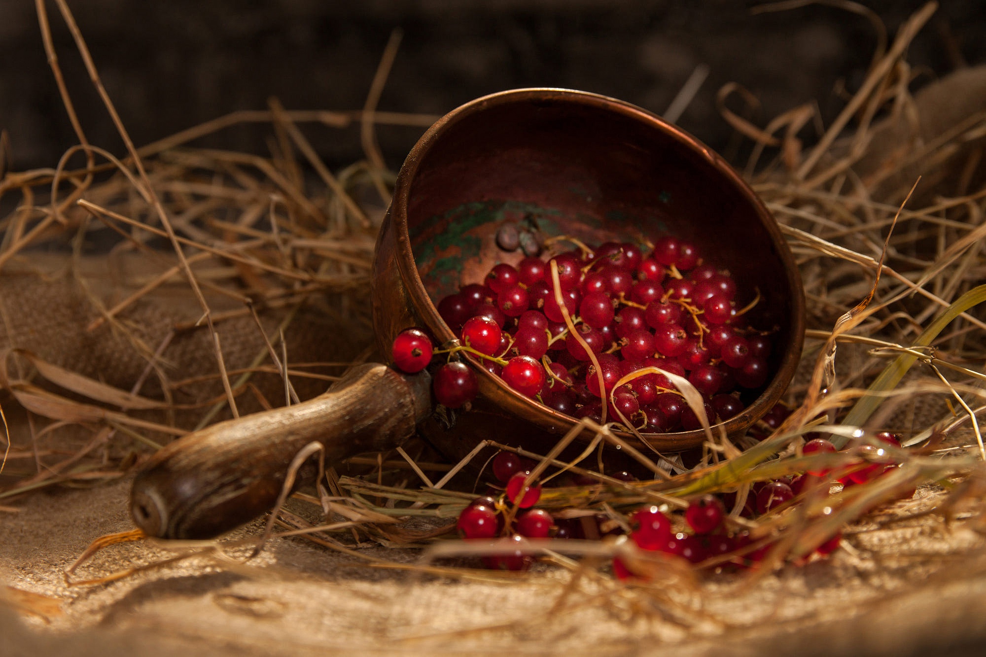 Free download wallpaper Food, Berry, Currants on your PC desktop