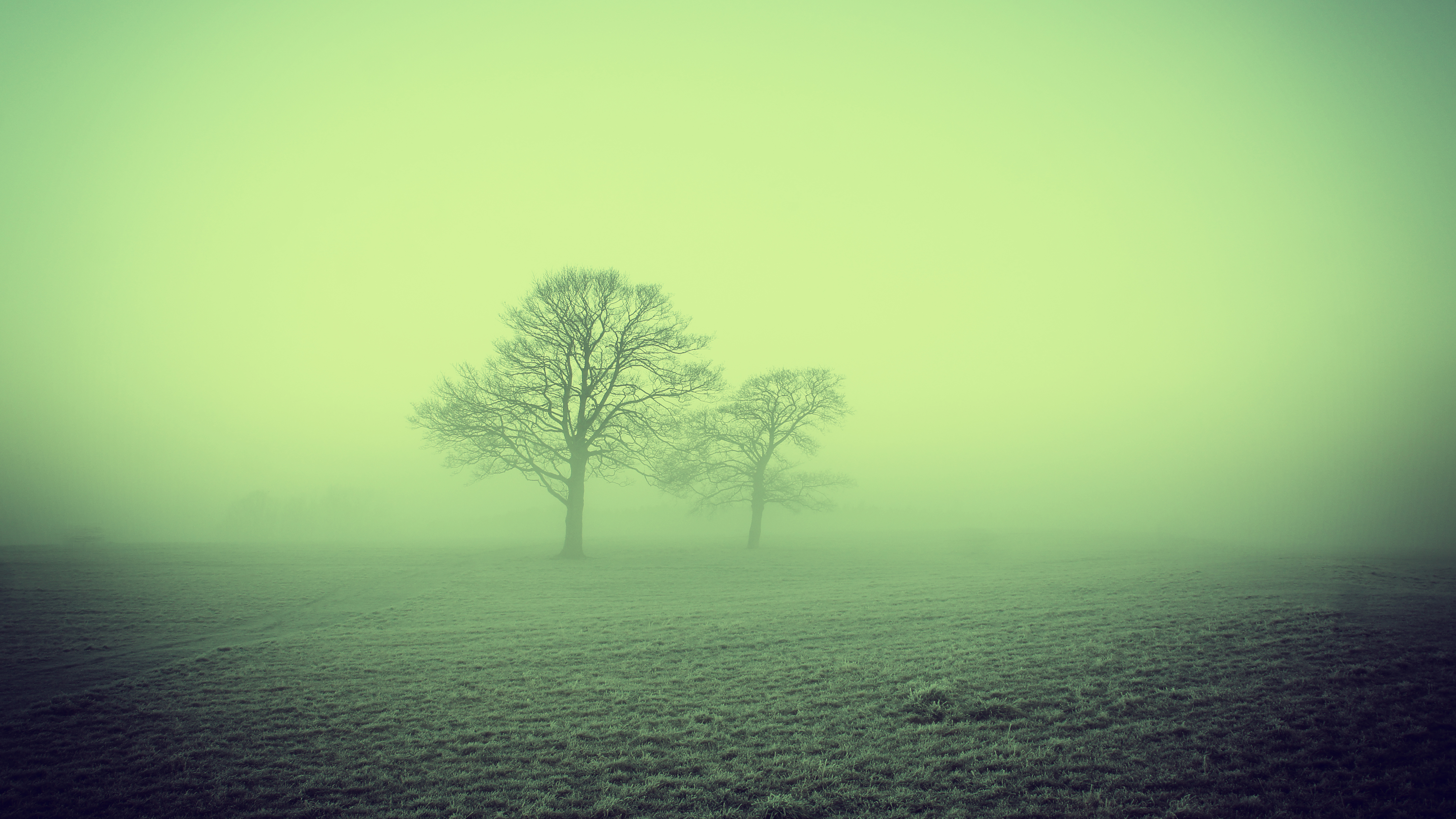 Скачать обои бесплатно Туман, Природа, Деревья, Поле картинка на рабочий стол ПК
