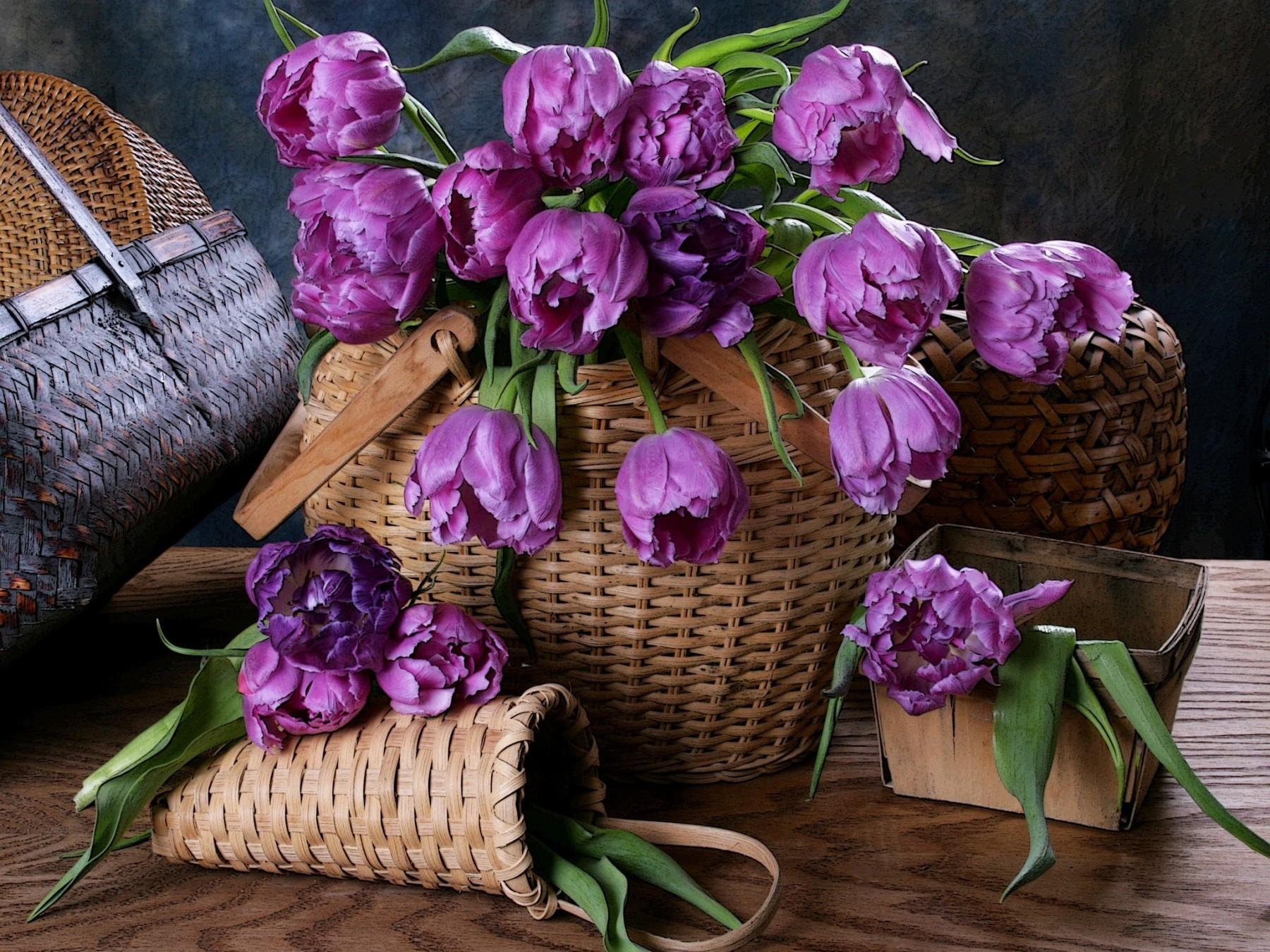 61496 скачать обои тюльпаны, корзины, цветы, плетение - заставки и картинки бесплатно