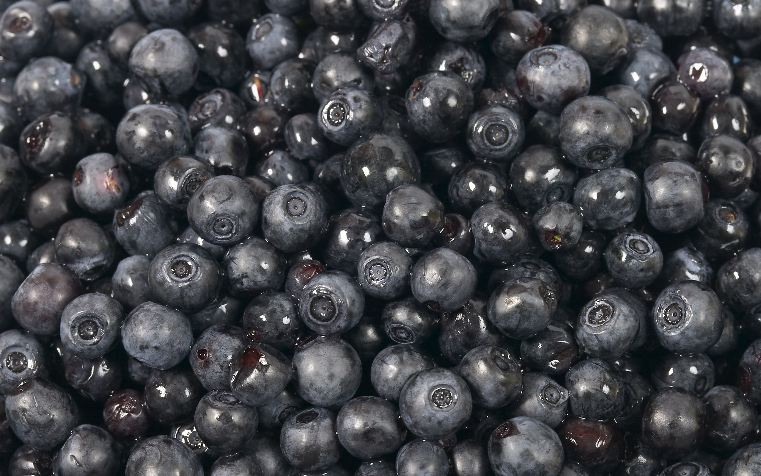 food, blueberry