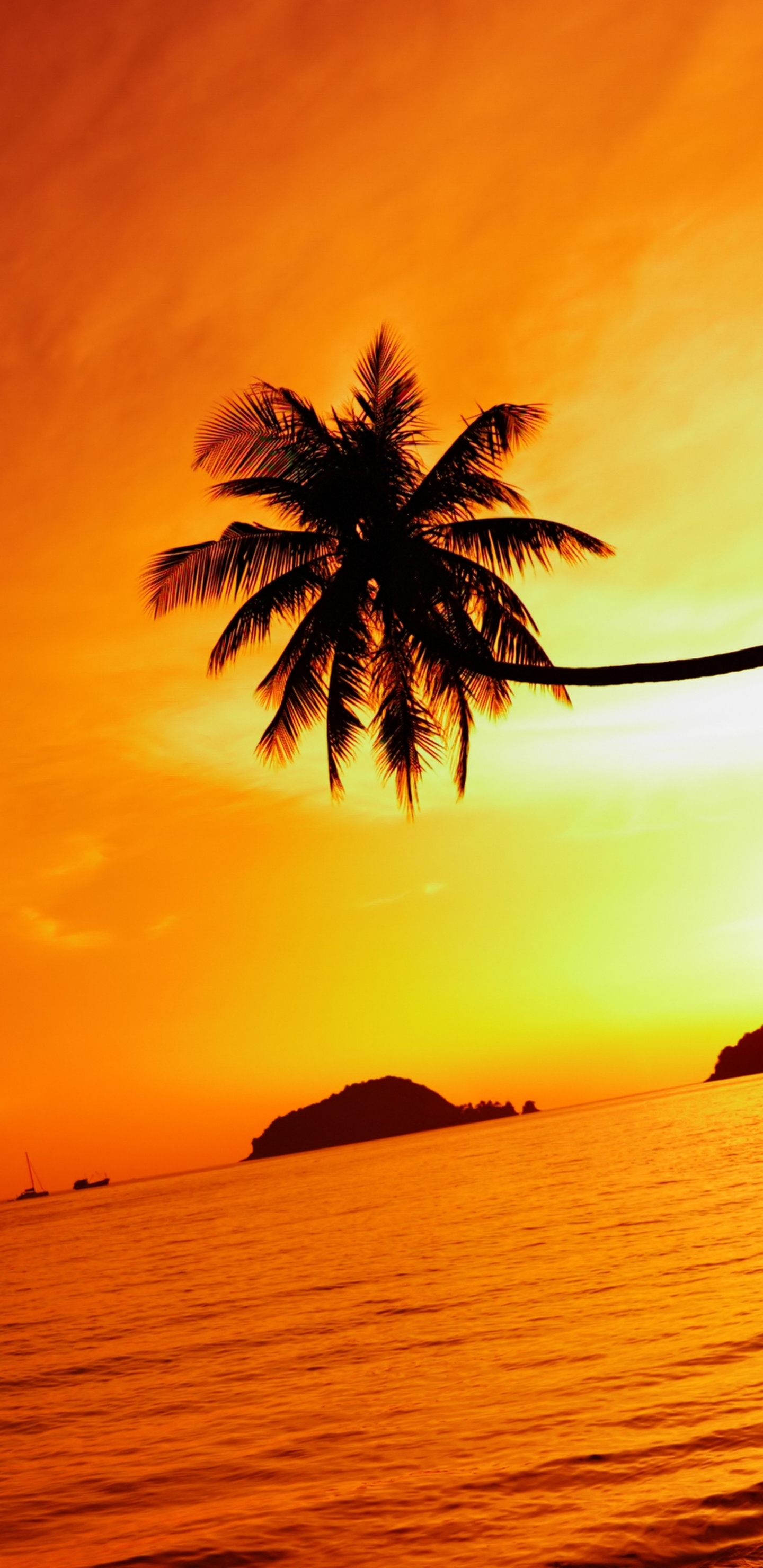Download mobile wallpaper Sunset, Sky, Sea, Earth, Thailand, Palm Tree for free.