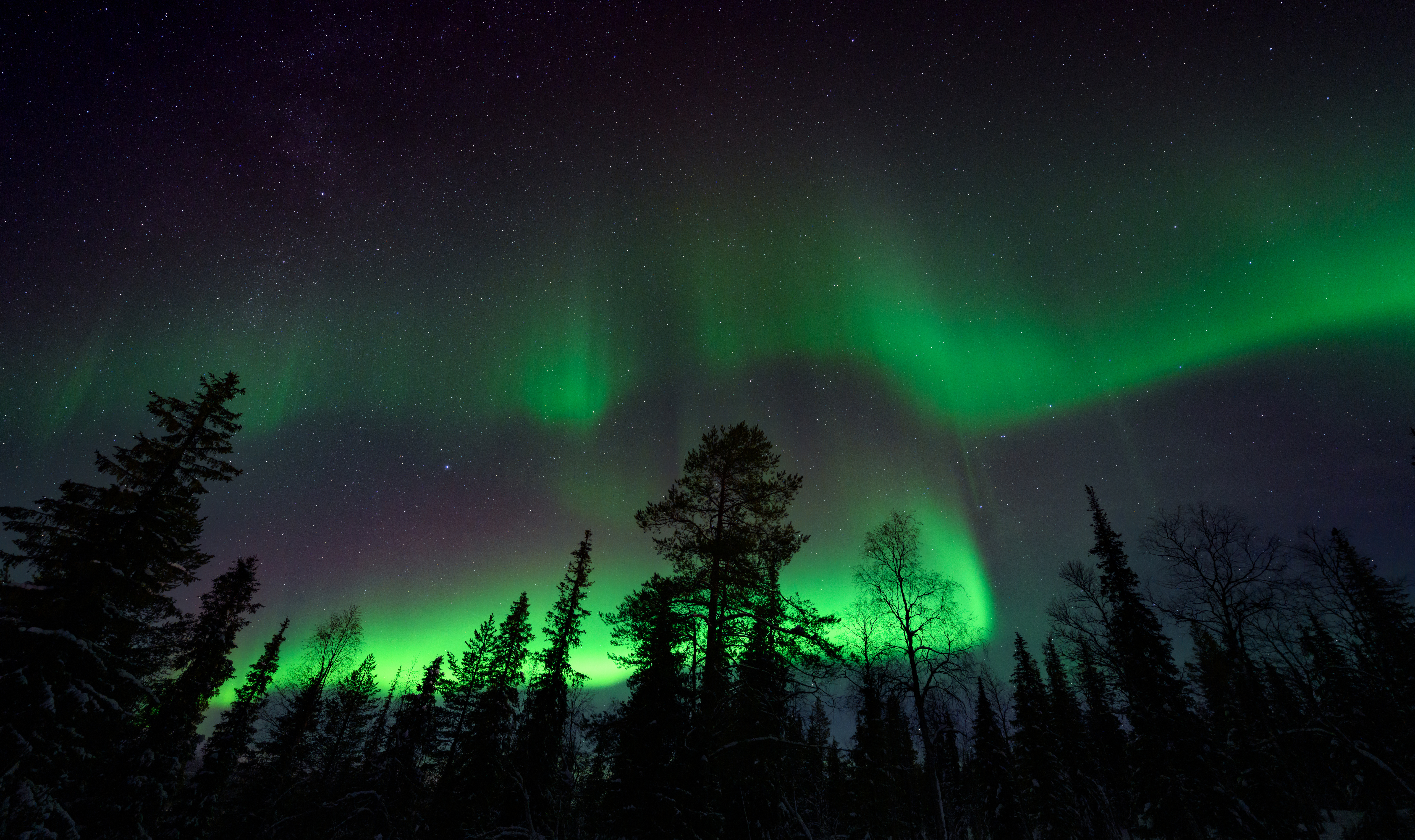 Baixar papel de parede para celular de Noite, Aurora Boreal, Finlândia, Terra/natureza gratuito.