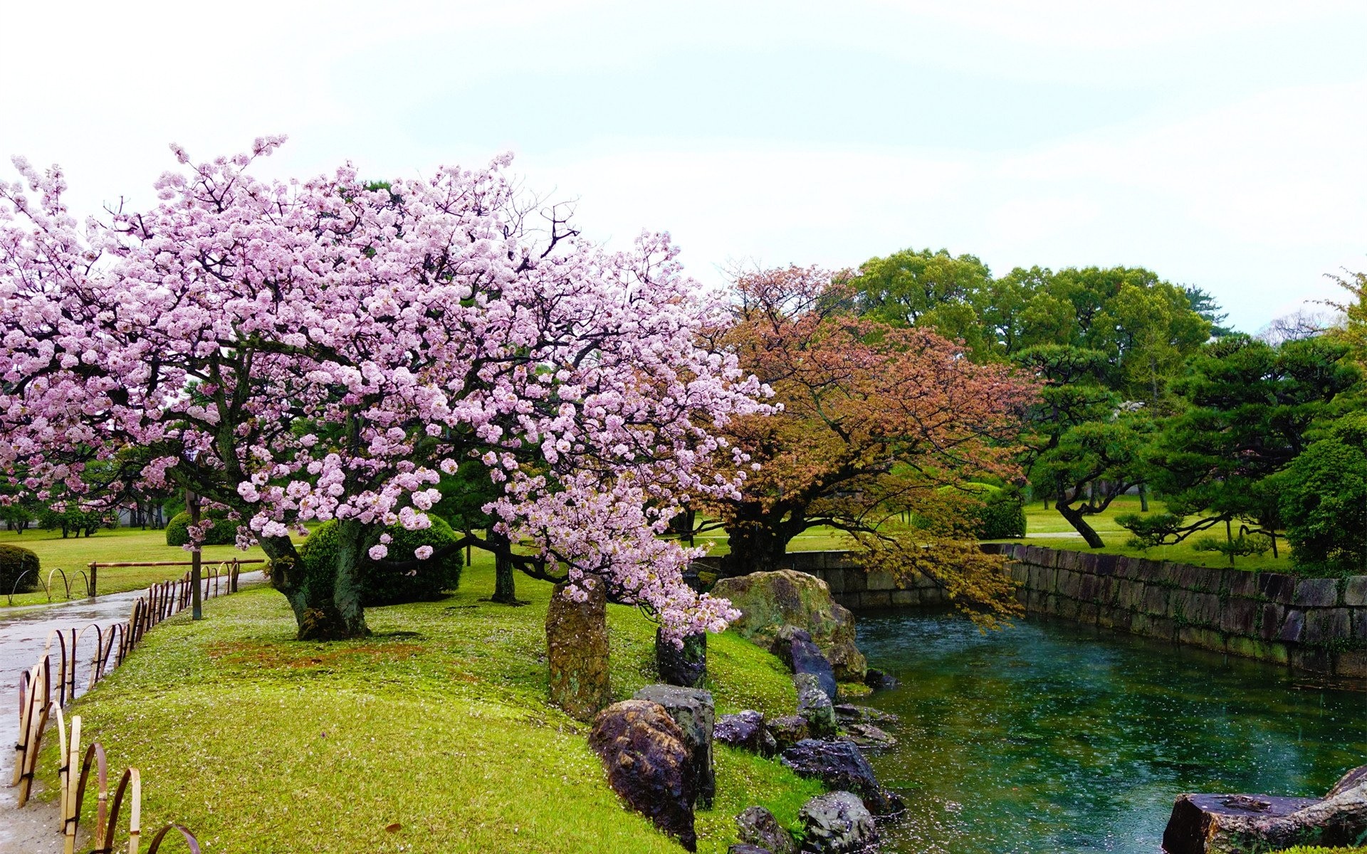 Free download wallpaper Park, Tree, Earth, Pond, Spring, Blossom on your PC desktop