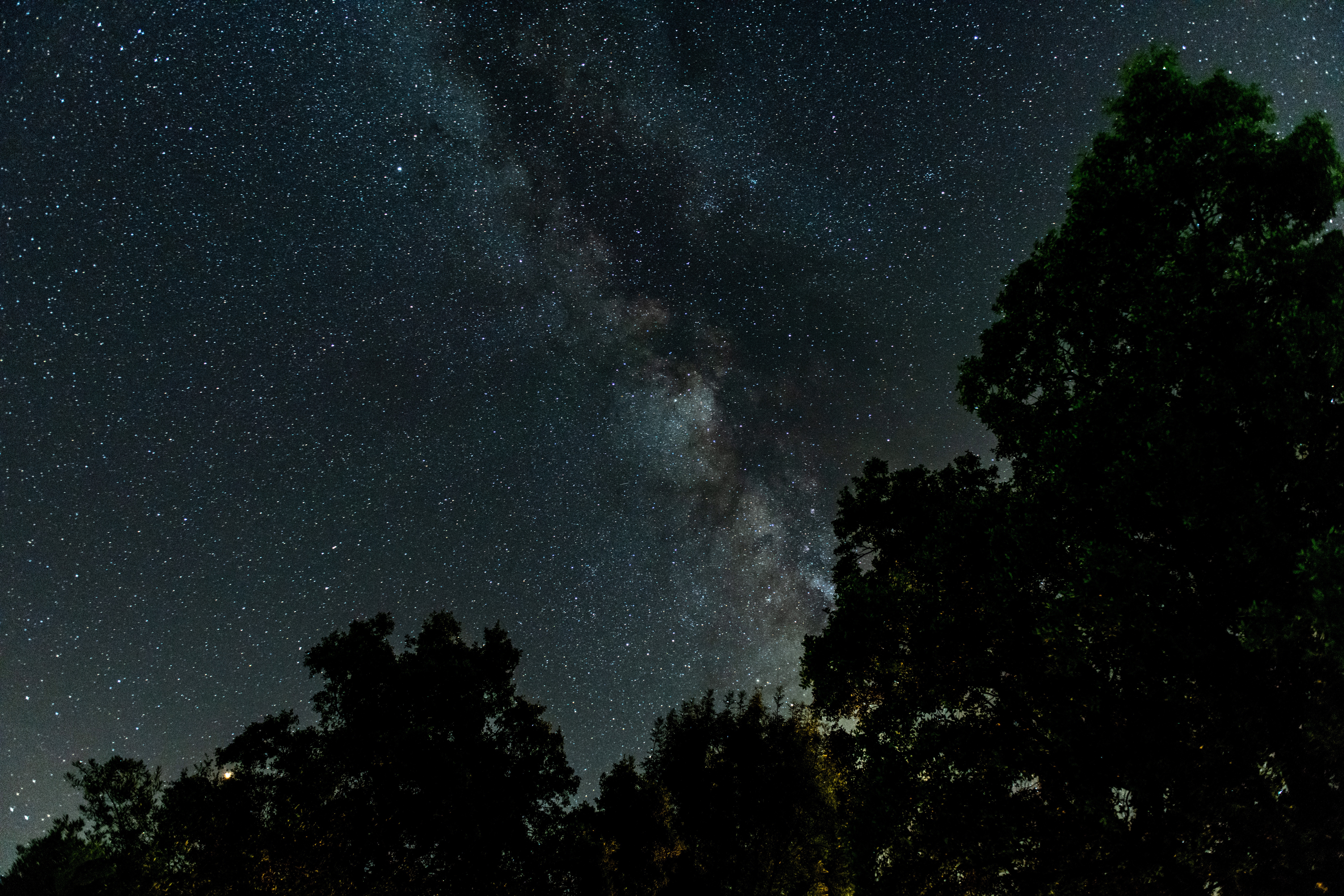 Free download wallpaper Trees, Stars, Starry Sky, Dark, Night, Milky Way on your PC desktop
