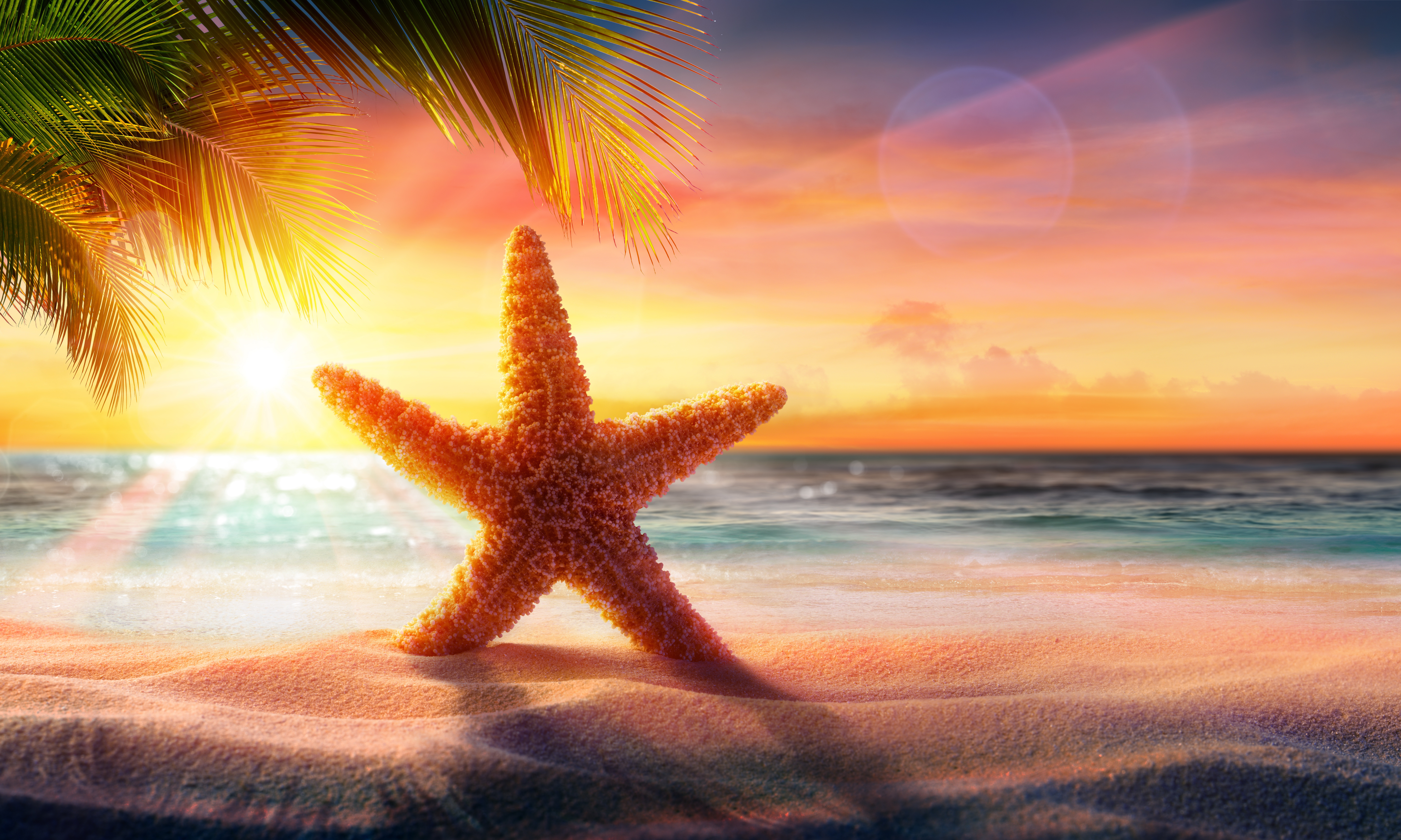 Download mobile wallpaper Beach, Sand, Starfish, Sunrise, Animal for free.