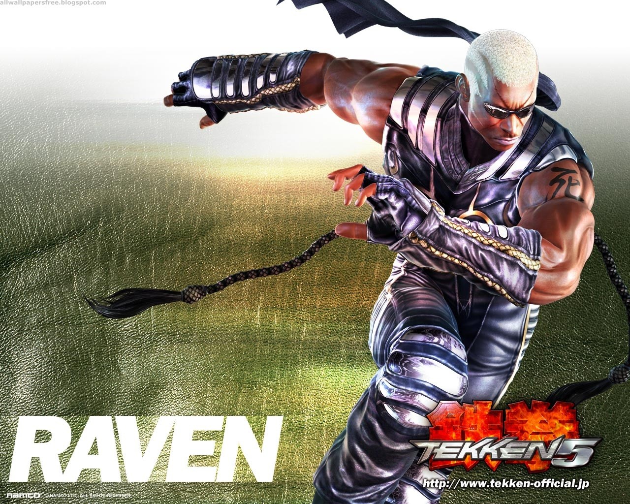 Скачати мобільні шпалери Відеогра, Tekken 5 безкоштовно.
