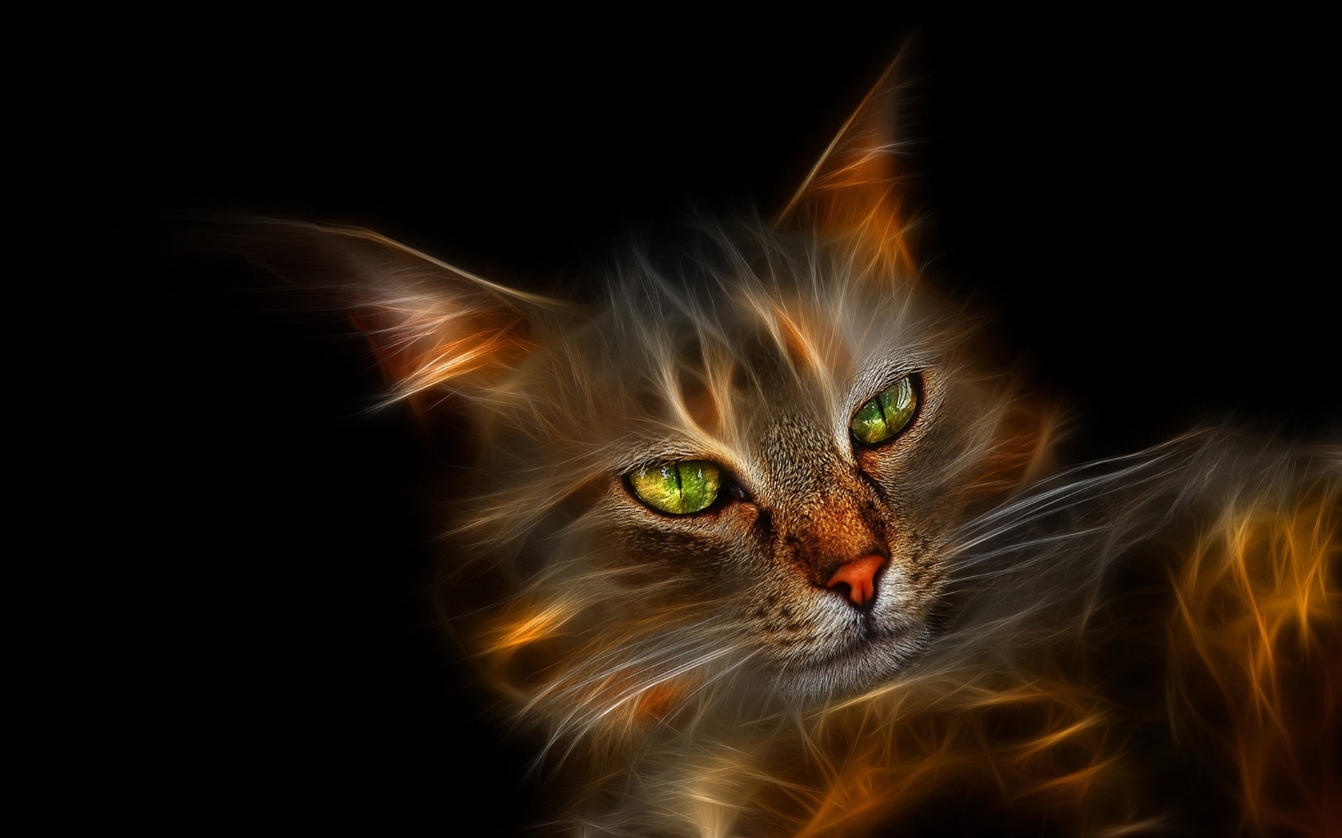 Download mobile wallpaper Cats, Cat, Animal for free.