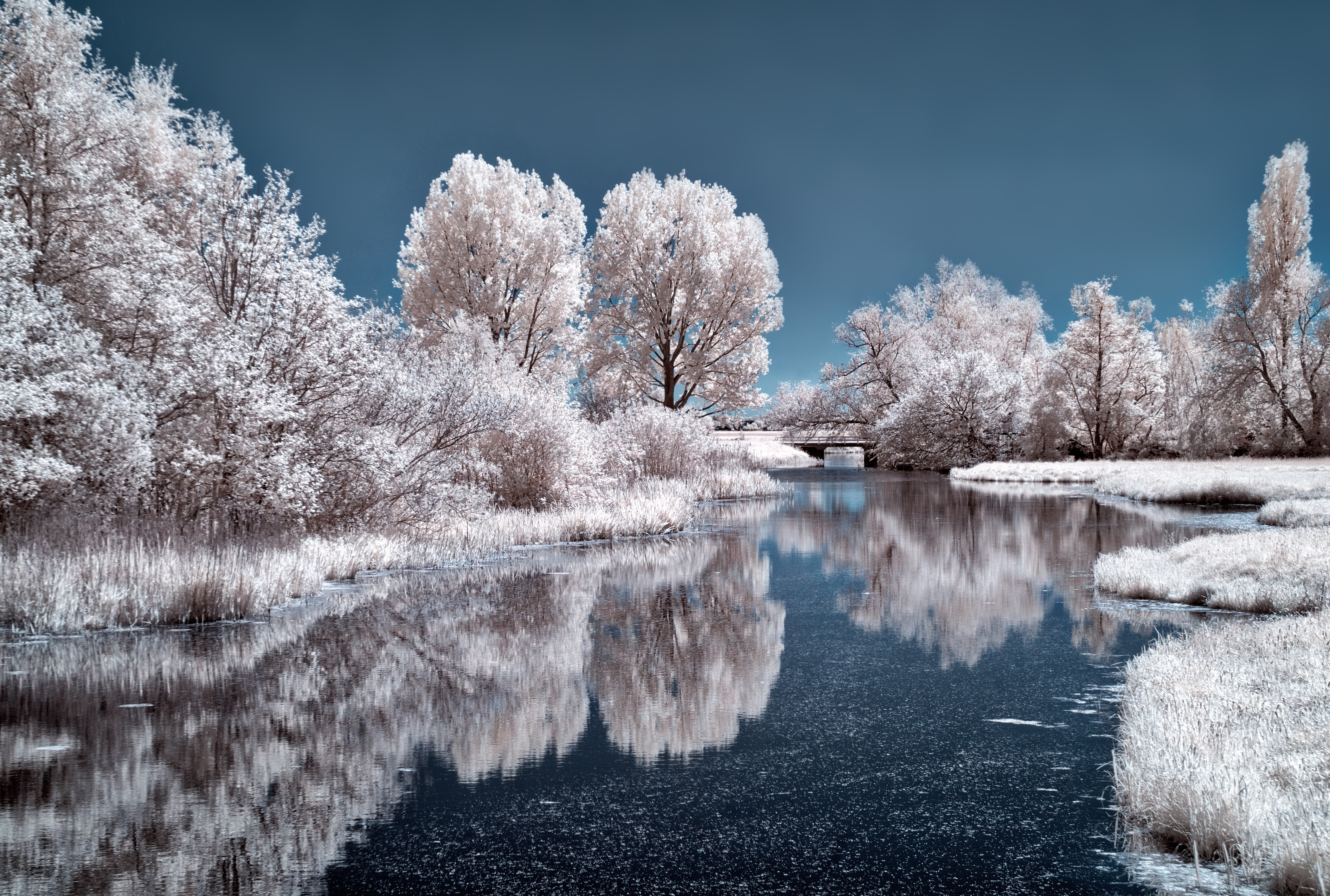 Free download wallpaper Winter, Lakes, Lake, Reflection, Tree, Earth on your PC desktop