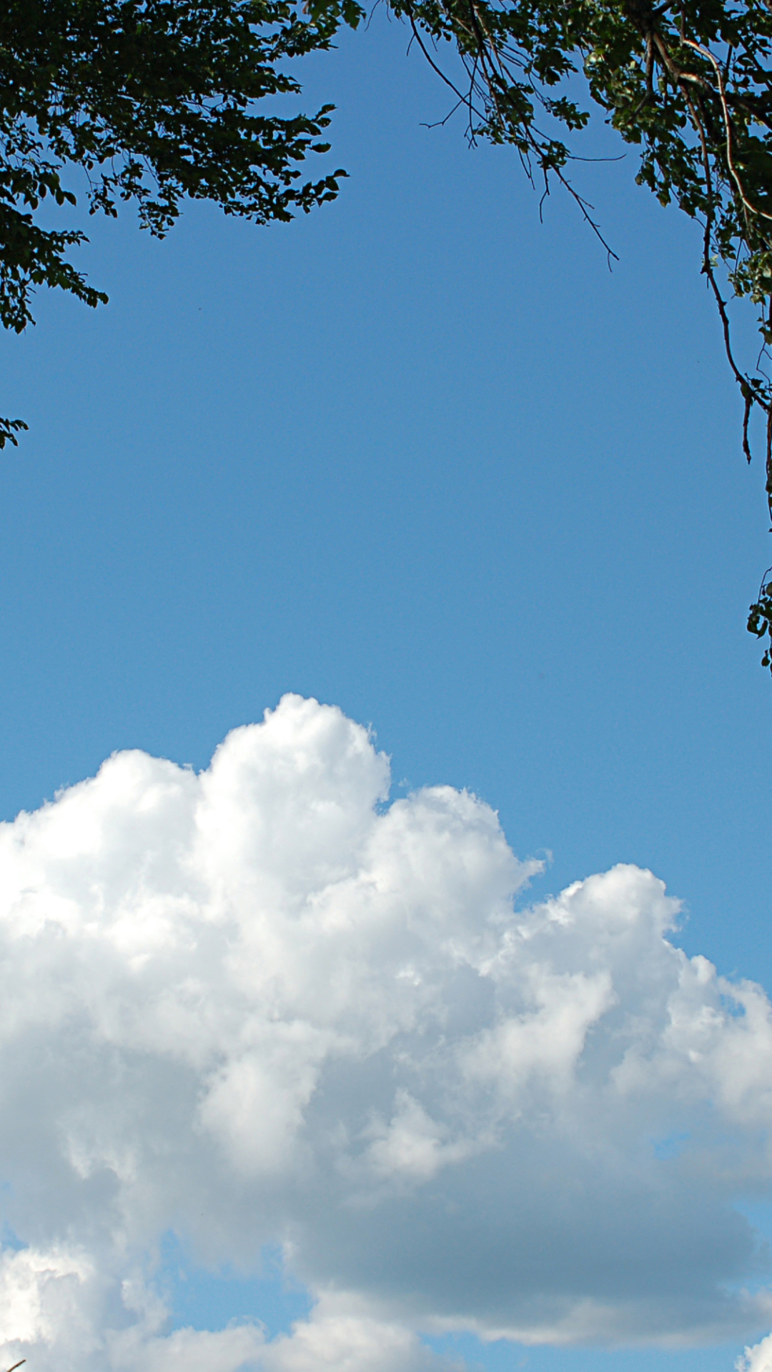 Téléchargez des papiers peints mobile Ciel, Terre/nature gratuitement.