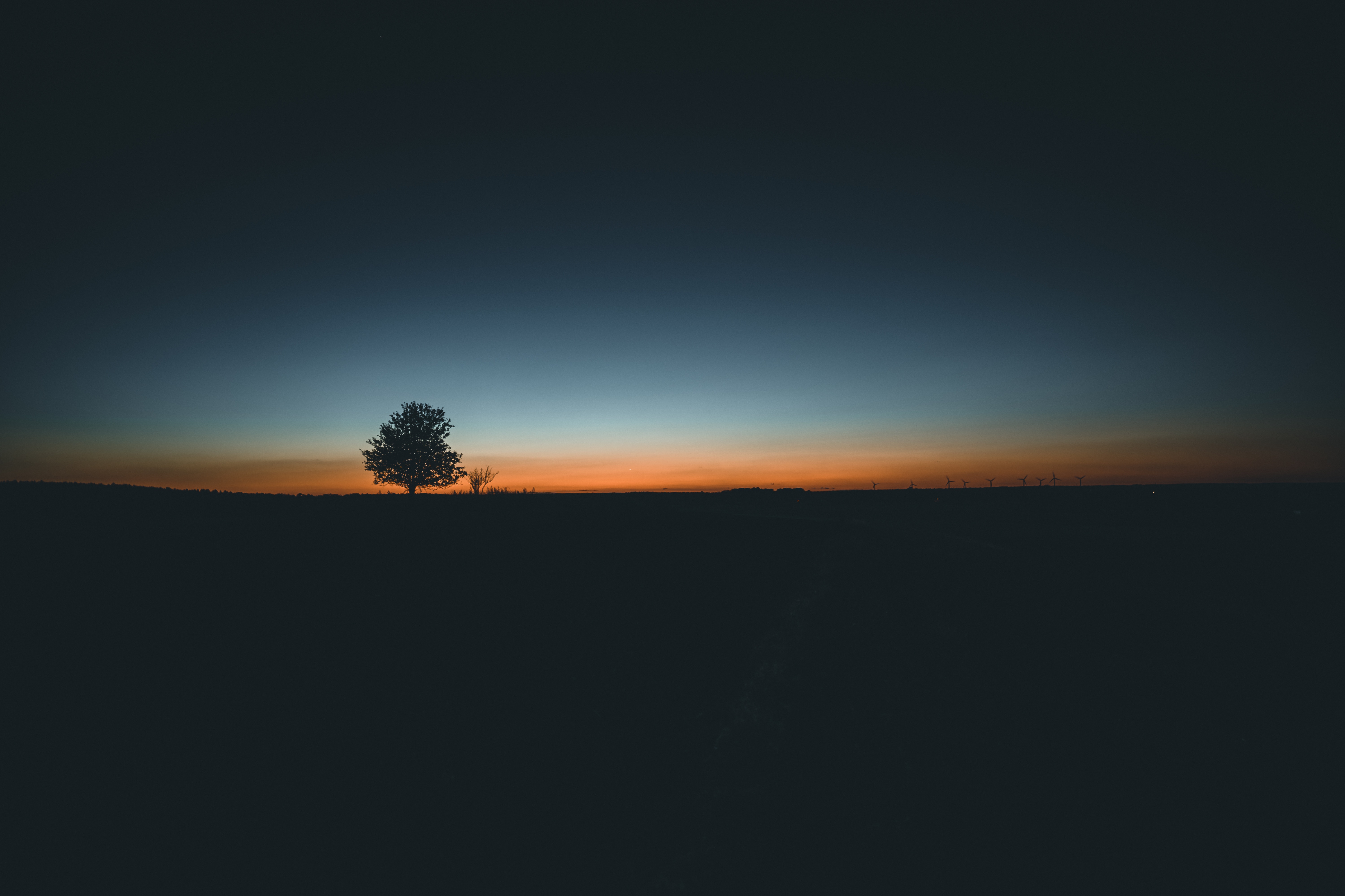 122367 descargar imagen minimalismo, madera, puesta del sol, horizonte, árbol: fondos de pantalla y protectores de pantalla gratis