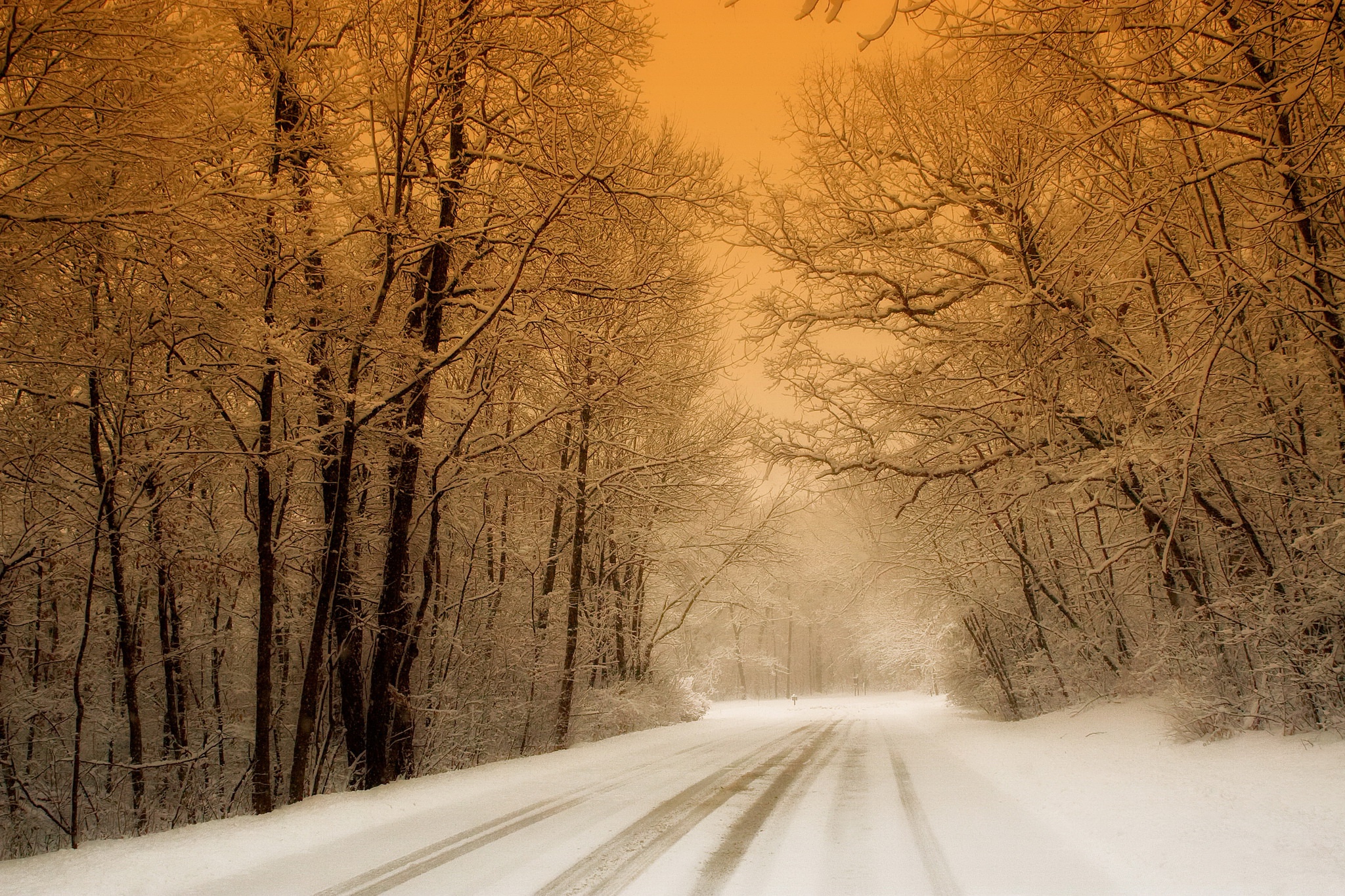 Descarga gratis la imagen Invierno, Naturaleza, Nieve, Bosque, Árbol, Carretera, Hecho Por El Hombre en el escritorio de tu PC