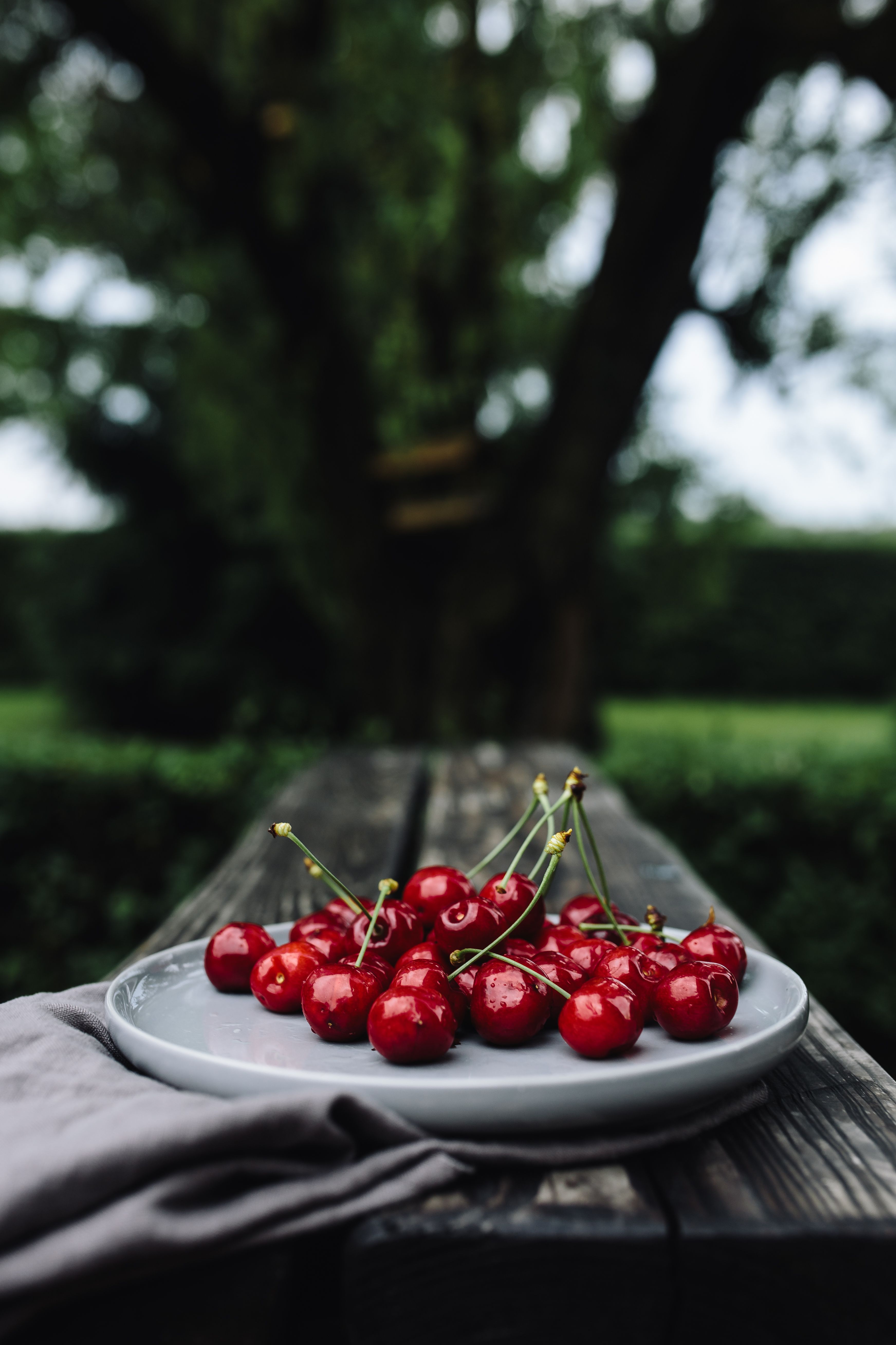 sweet cherry, food, cherry, blur, smooth, plate Image for desktop