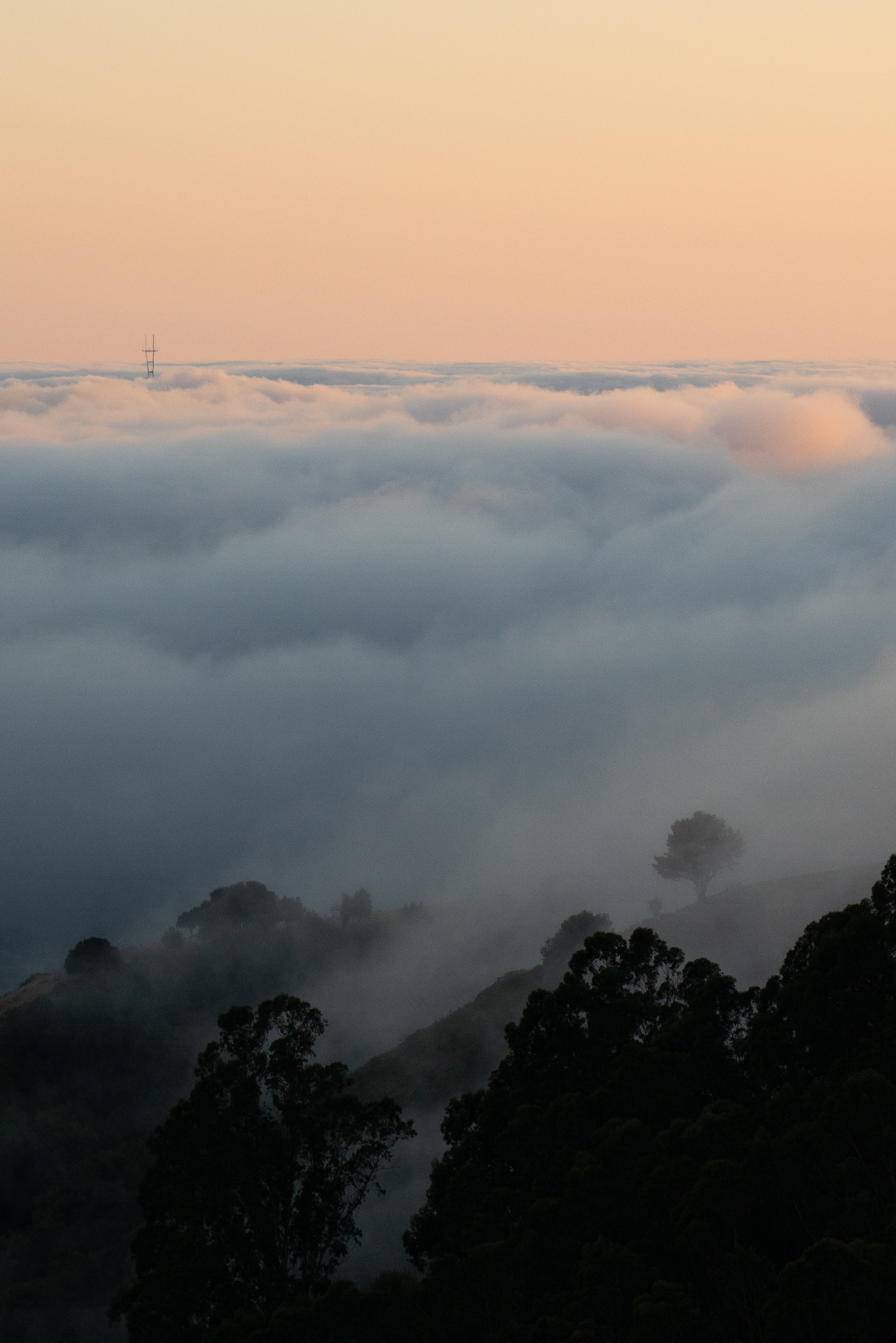 Laden Sie das Natur, Bäume, Sky, Clouds, Nebel, Steigung-Bild kostenlos auf Ihren PC-Desktop herunter