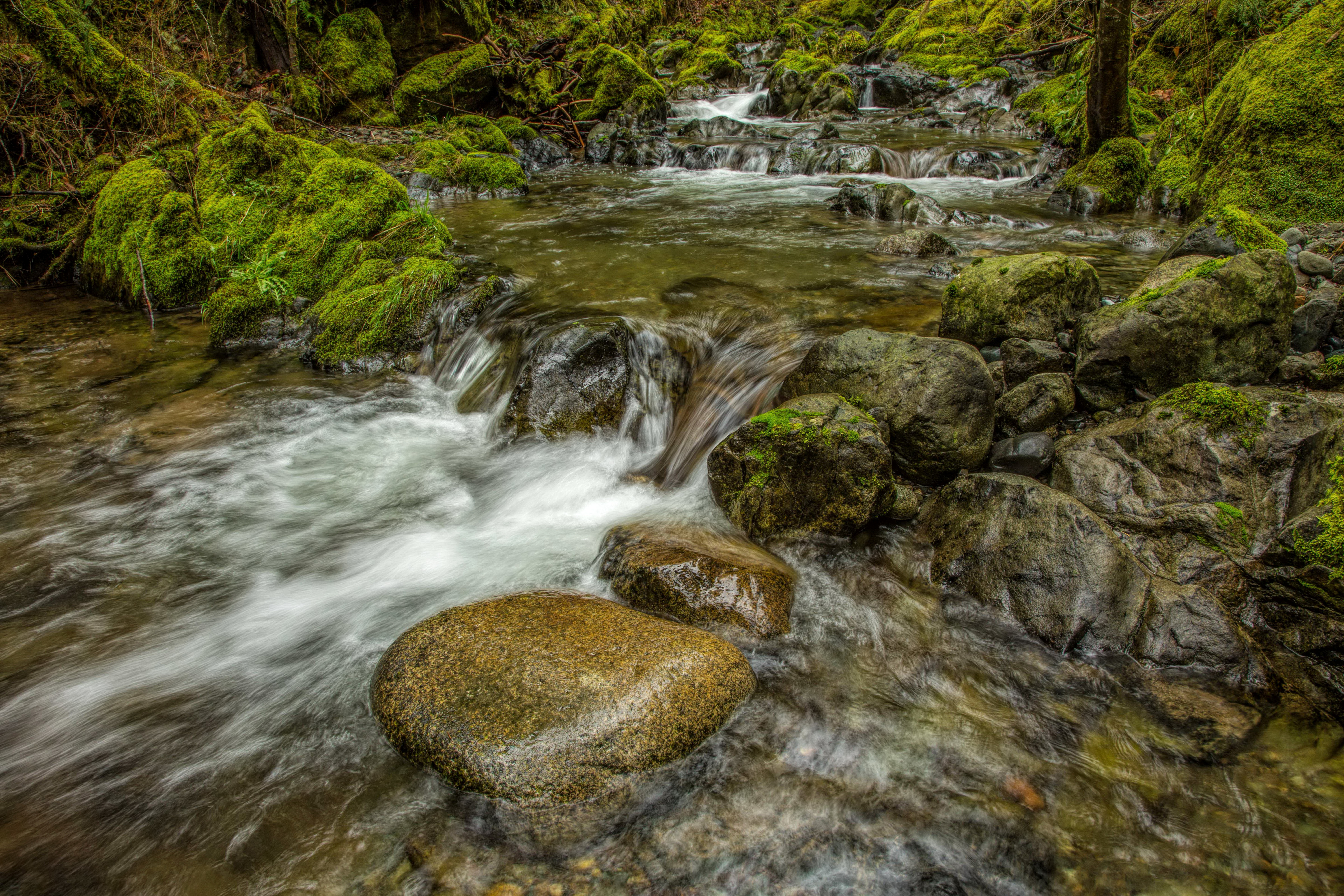 Free download wallpaper Nature, Earth, Moss, Stream on your PC desktop