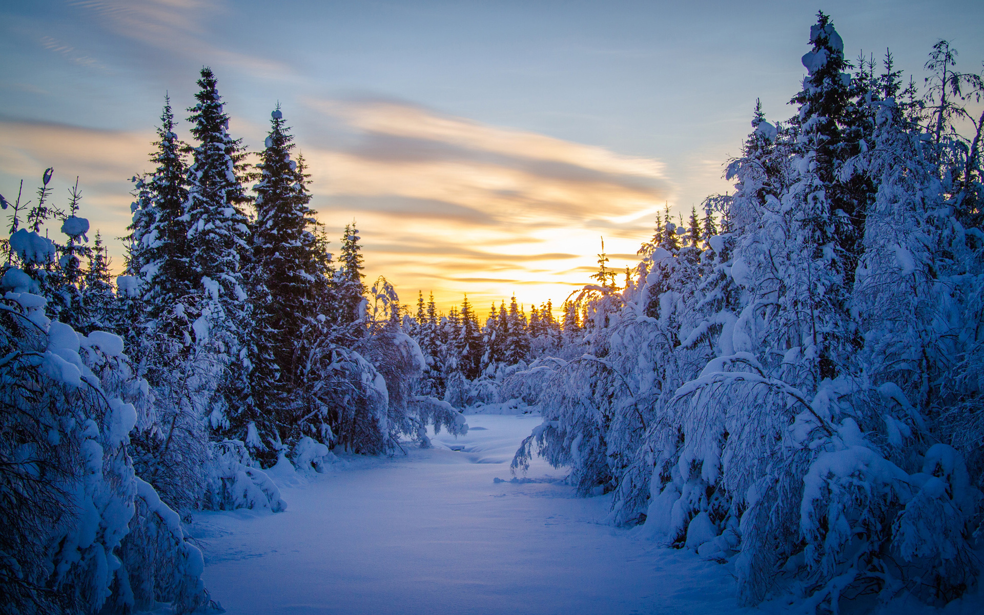 Laden Sie das Winter, Schnee, Baum, Erde/natur-Bild kostenlos auf Ihren PC-Desktop herunter